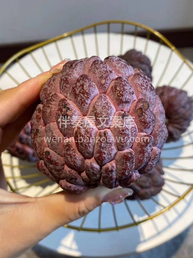 💜玫瑰释迦果 “长树上的冰淇淋” 人间美 配图3