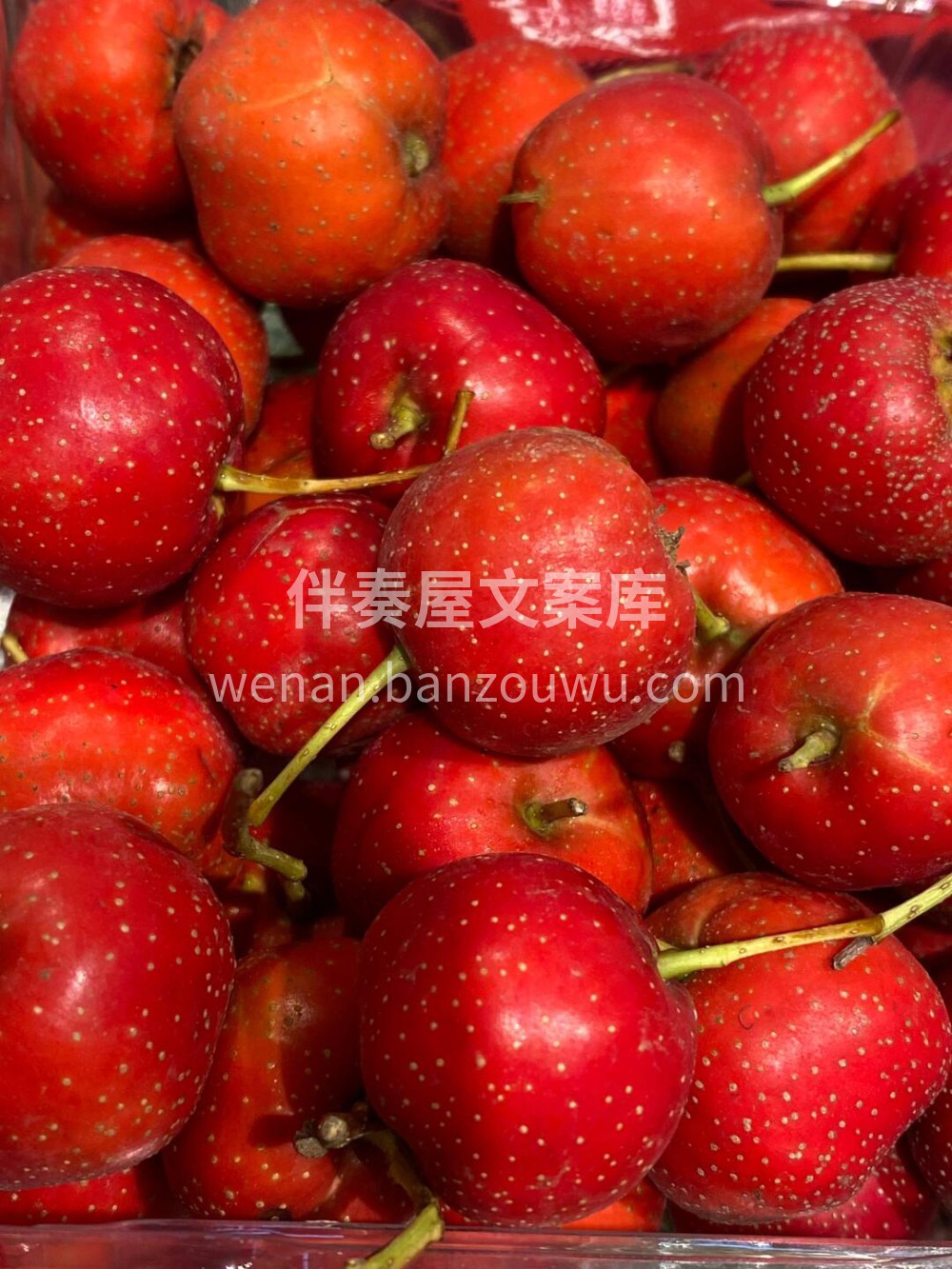 😍新疆小山楂 微酸口感👄空口吃就像是直接 配图1