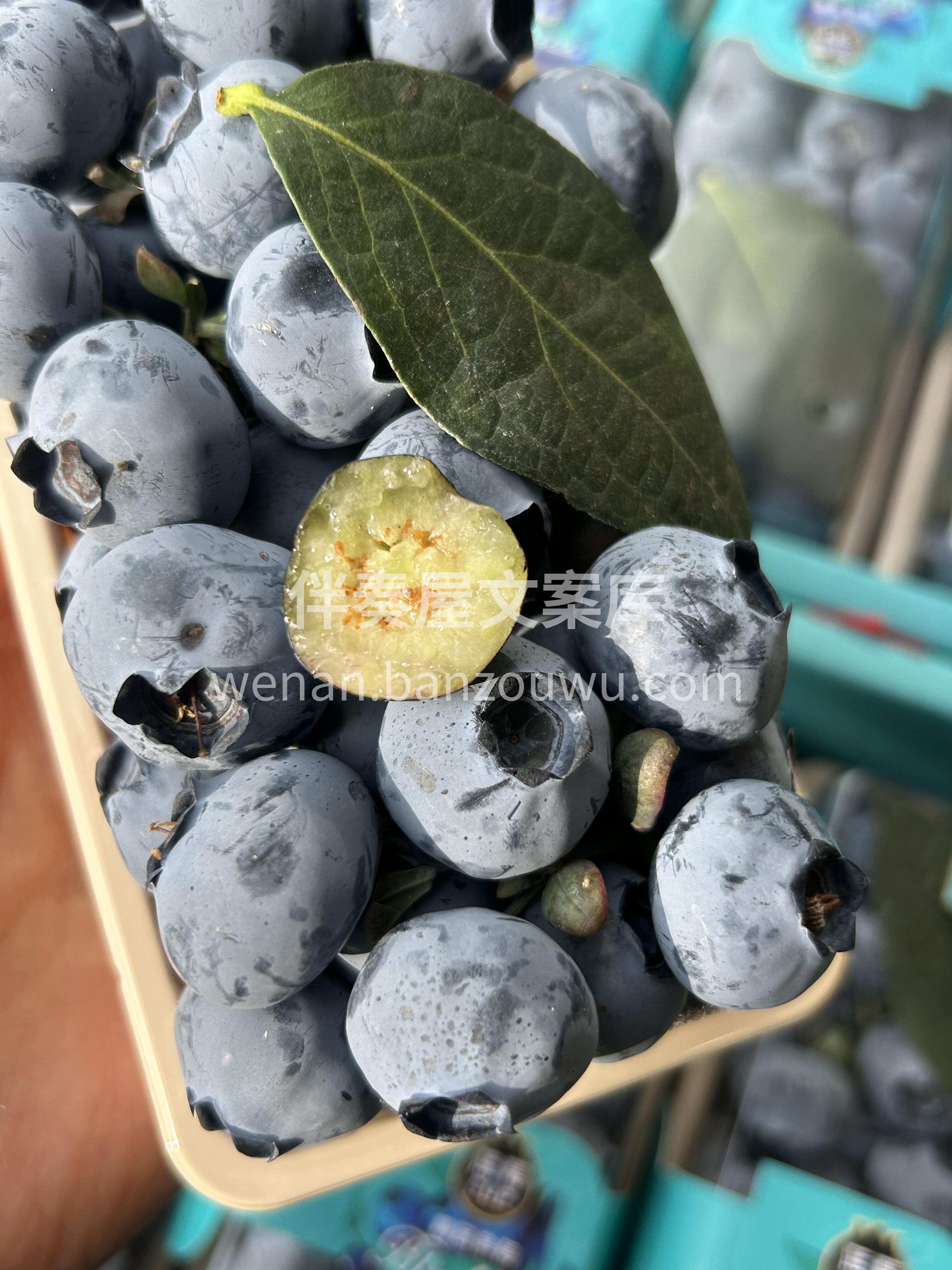 🫐串枝蓝莓！🌿 带枝的更新鲜✨ 串枝蓝莓 配图2