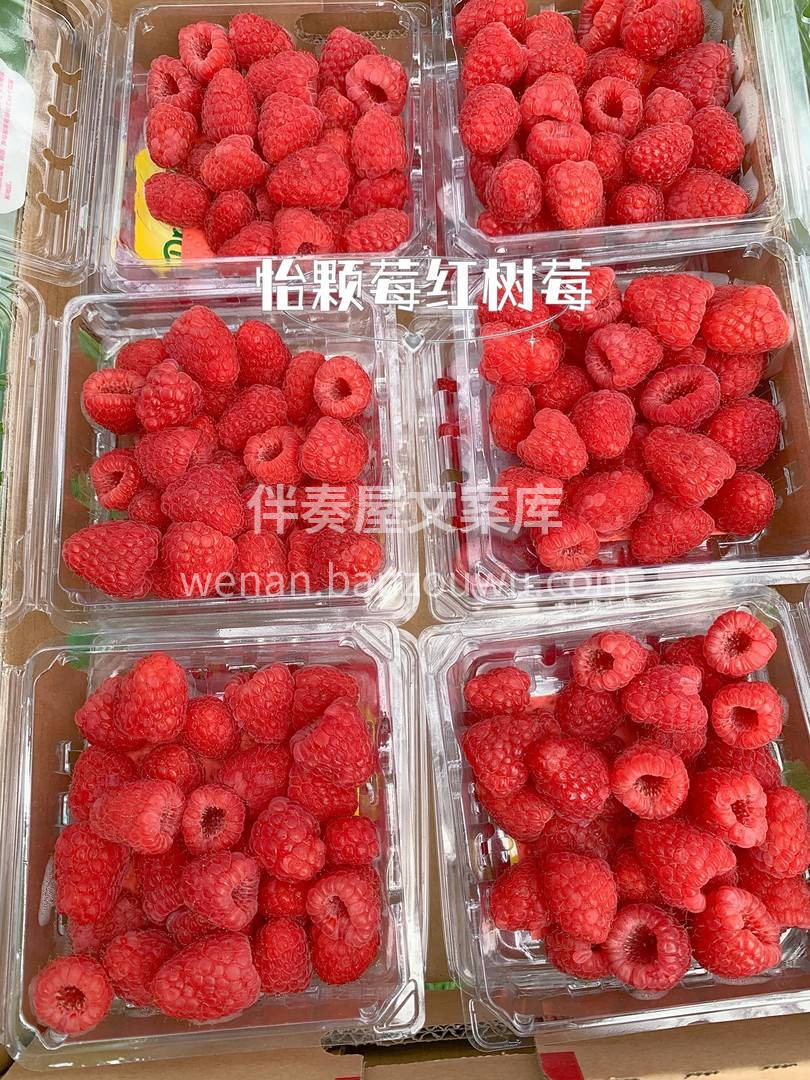 红树莓||一颗晶莹剔透💓 特别新鲜，满满 配图3