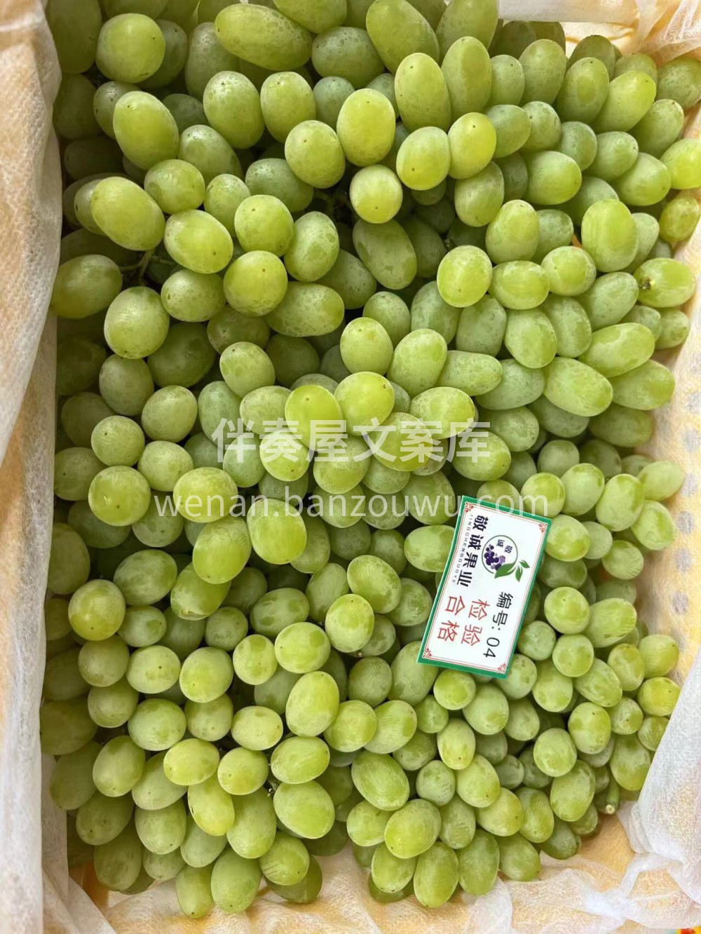 🍇来自新疆的季节特色水果马奶子👍🏻皮薄肉 配图1