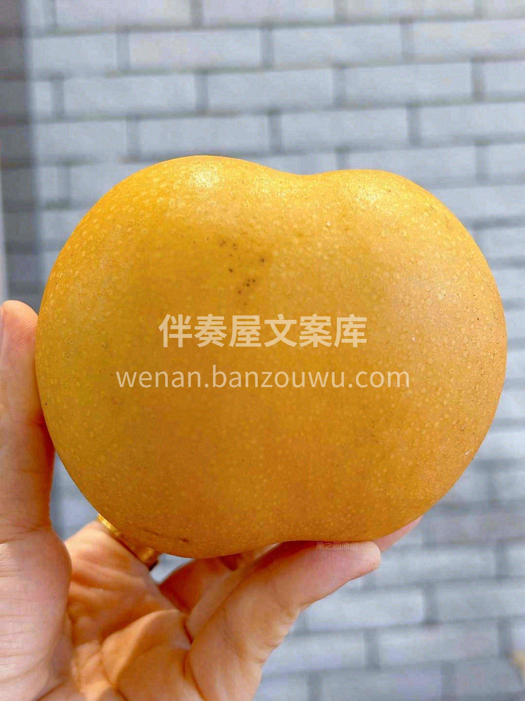 好‎吃的梨一‎吃便知 哪‎怕‎是再挑‎剔 配图3