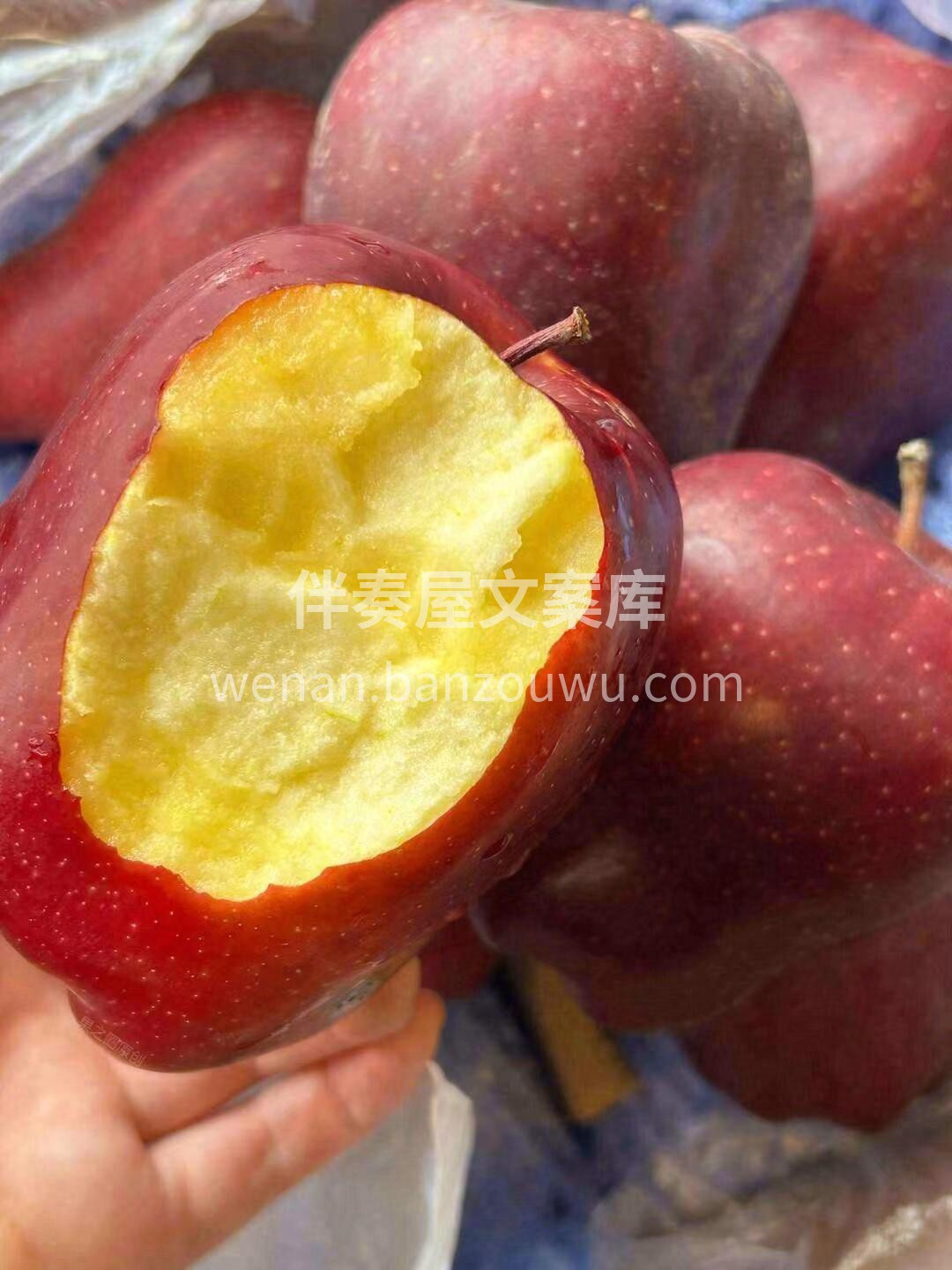 🍎到货啦雪原蛇果新鲜到货~ 🌞 特殊的光 配图1