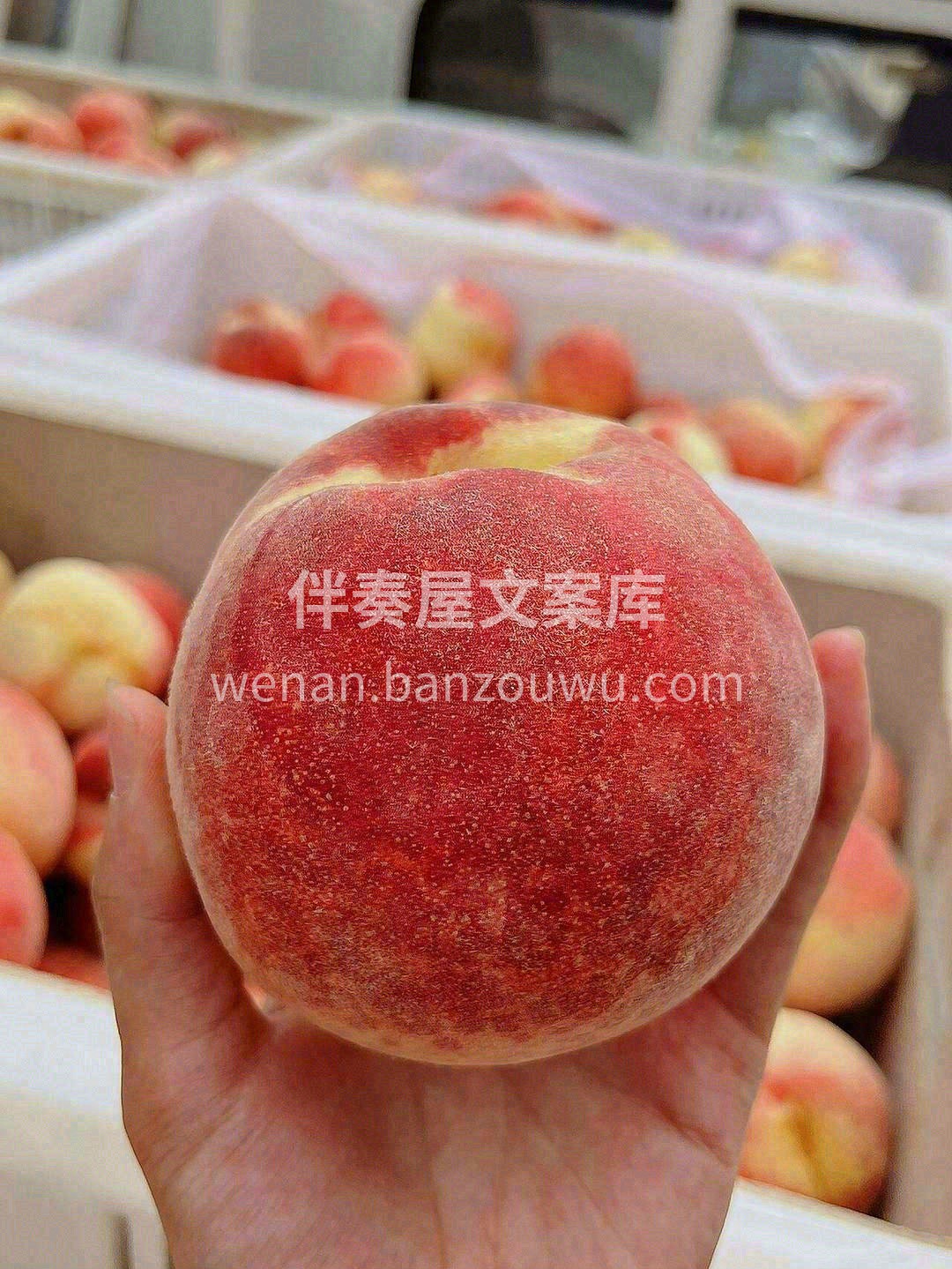 😊白里透红的桃子像刚出生婴儿的皮肤🍑粉嘟 配图1