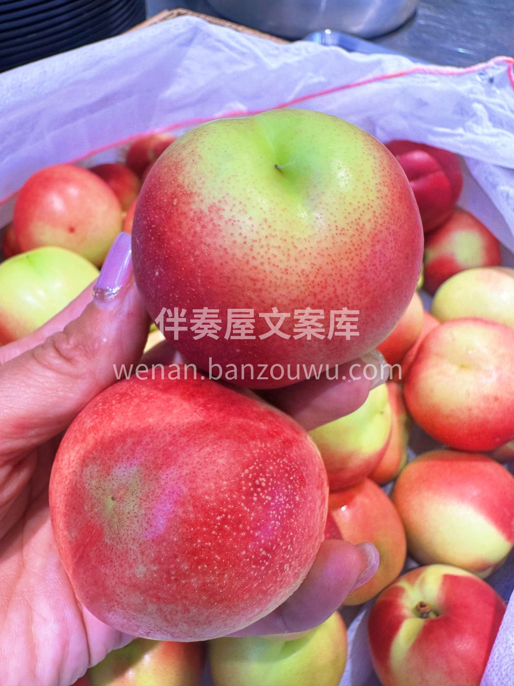 🍃珍珠枣油桃🍑 人见人爱的小桃子💚 离核 配图1