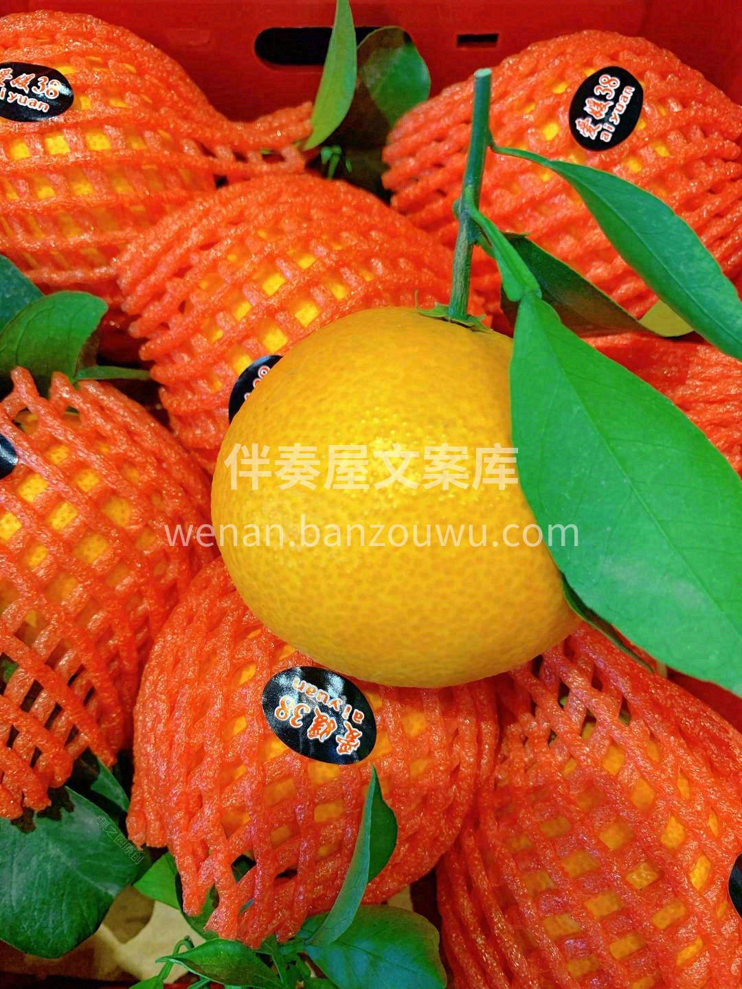 爱”我所爱❤️，“媛”来是你🙆‍！ 如果 配图1