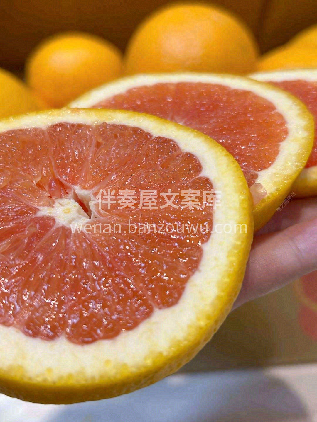 迫不及待等TA一整年☘️，终于来了！ 血 配图1