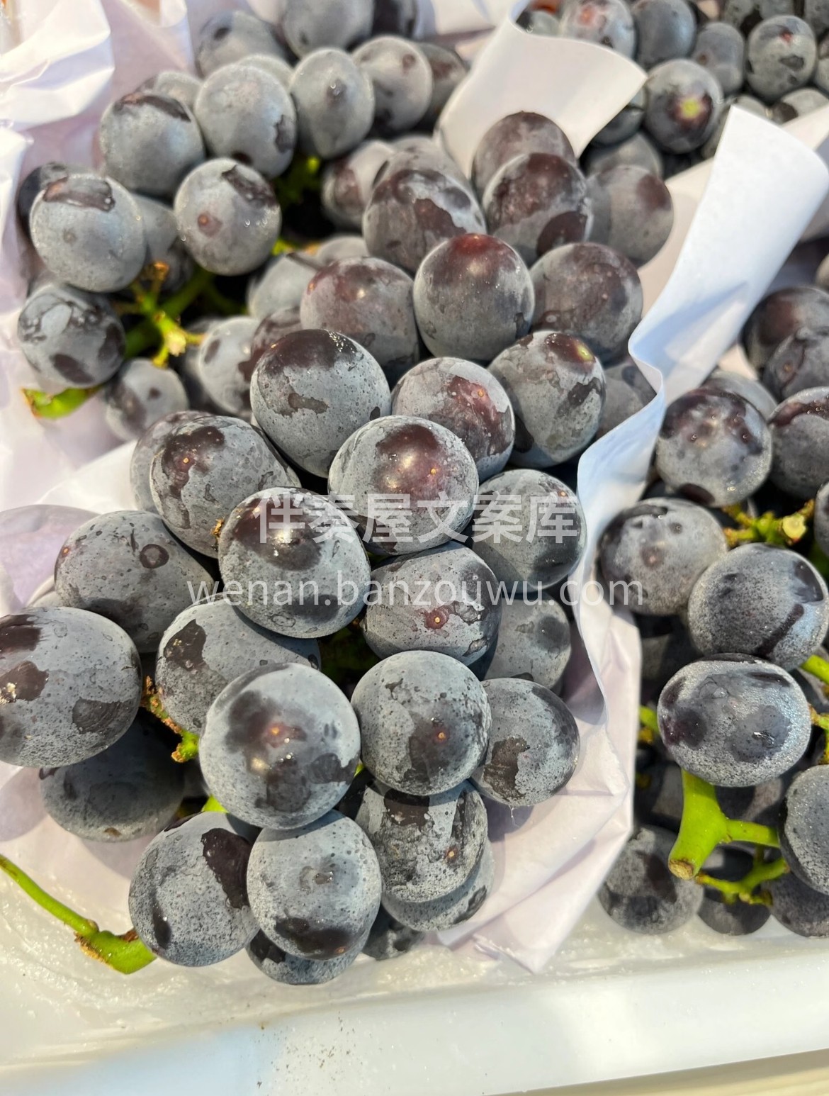 巨峰葡萄🍇 紫黑的果粒恰似一串玛瑙，点亮 配图2