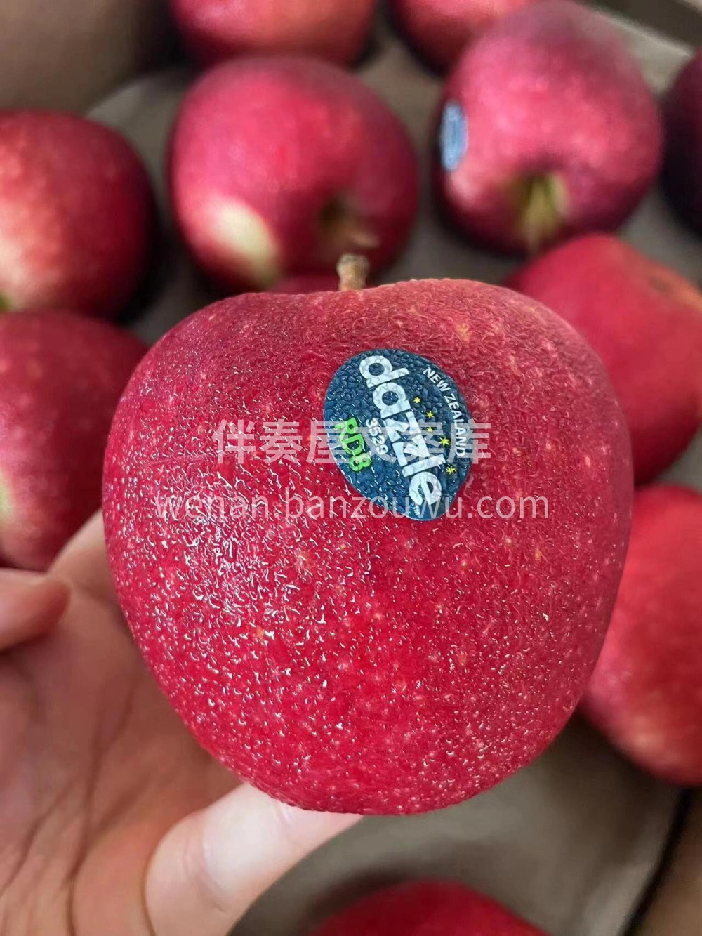 来自新西兰🇳🇿Dazzle丹烁苹果🍎 颜 配图1