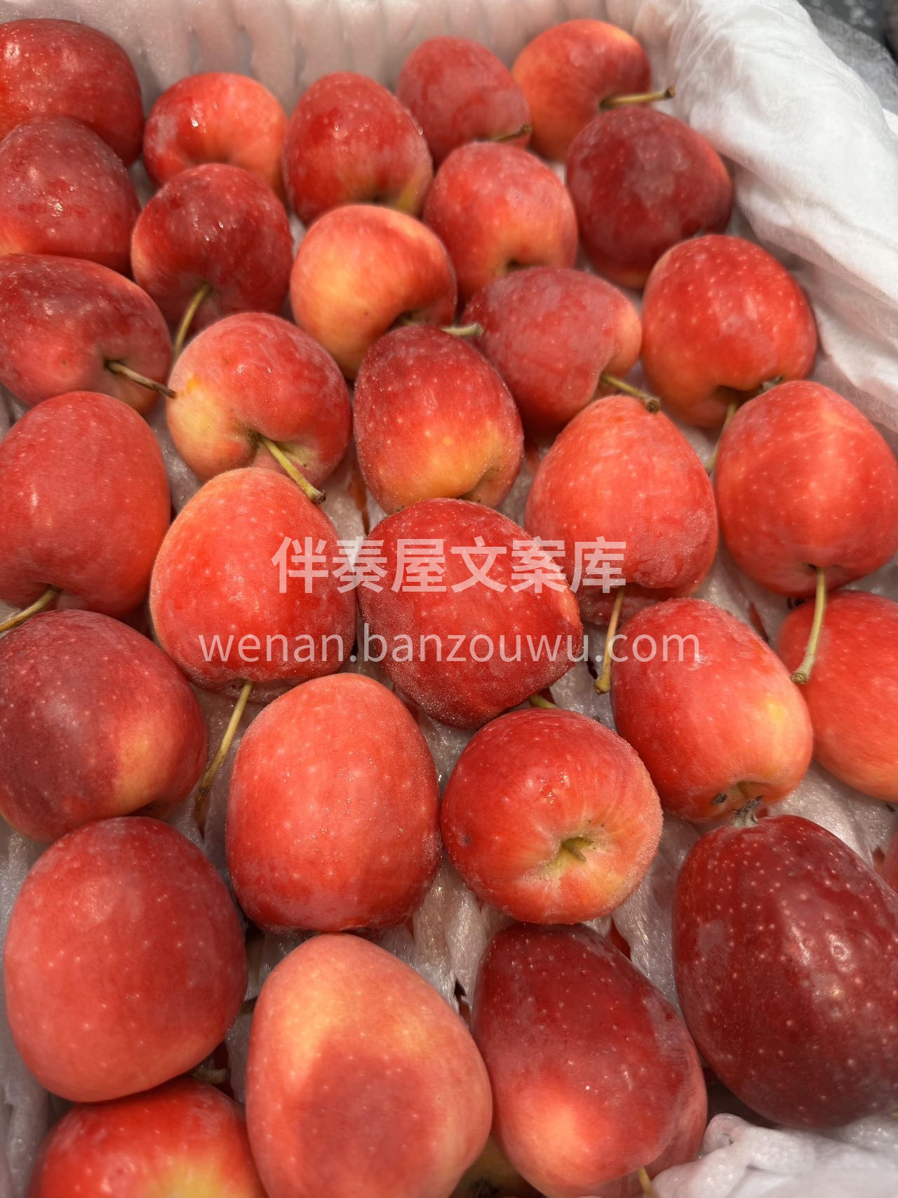 🌿海棠果真正的酸甜可口，YYDS超级喜欢 配图3