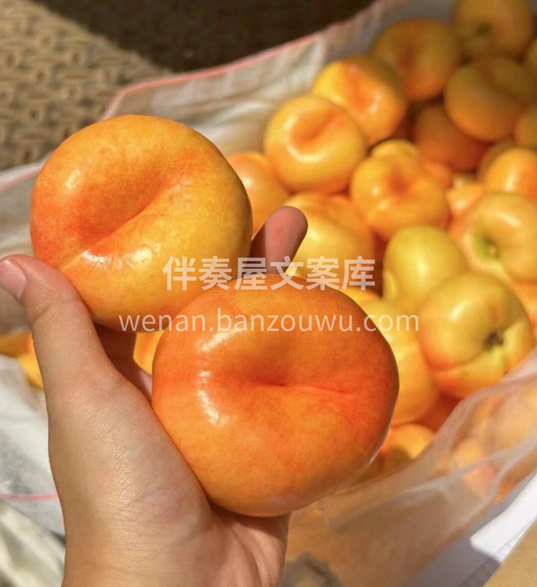 🍑黄油蟠桃上架啦✨ 黄澄澄的外皮和果肉， 配图3