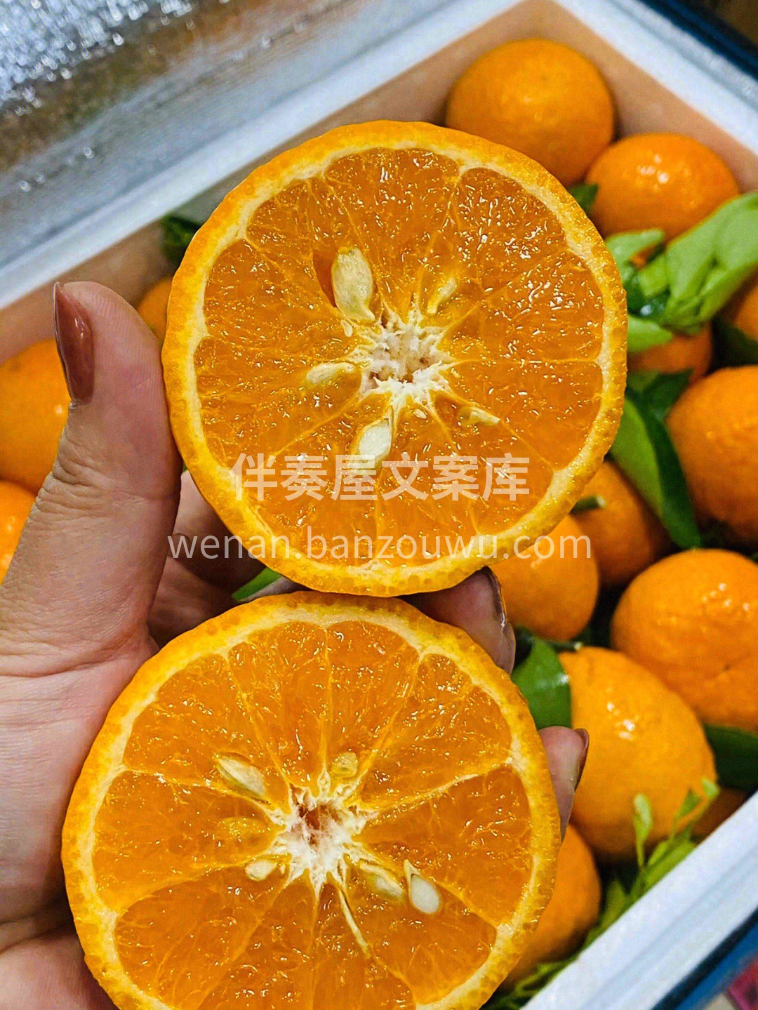 🍊鼻尖轻轻嗅一嗅，自然的气息便会扑面而来 配图1