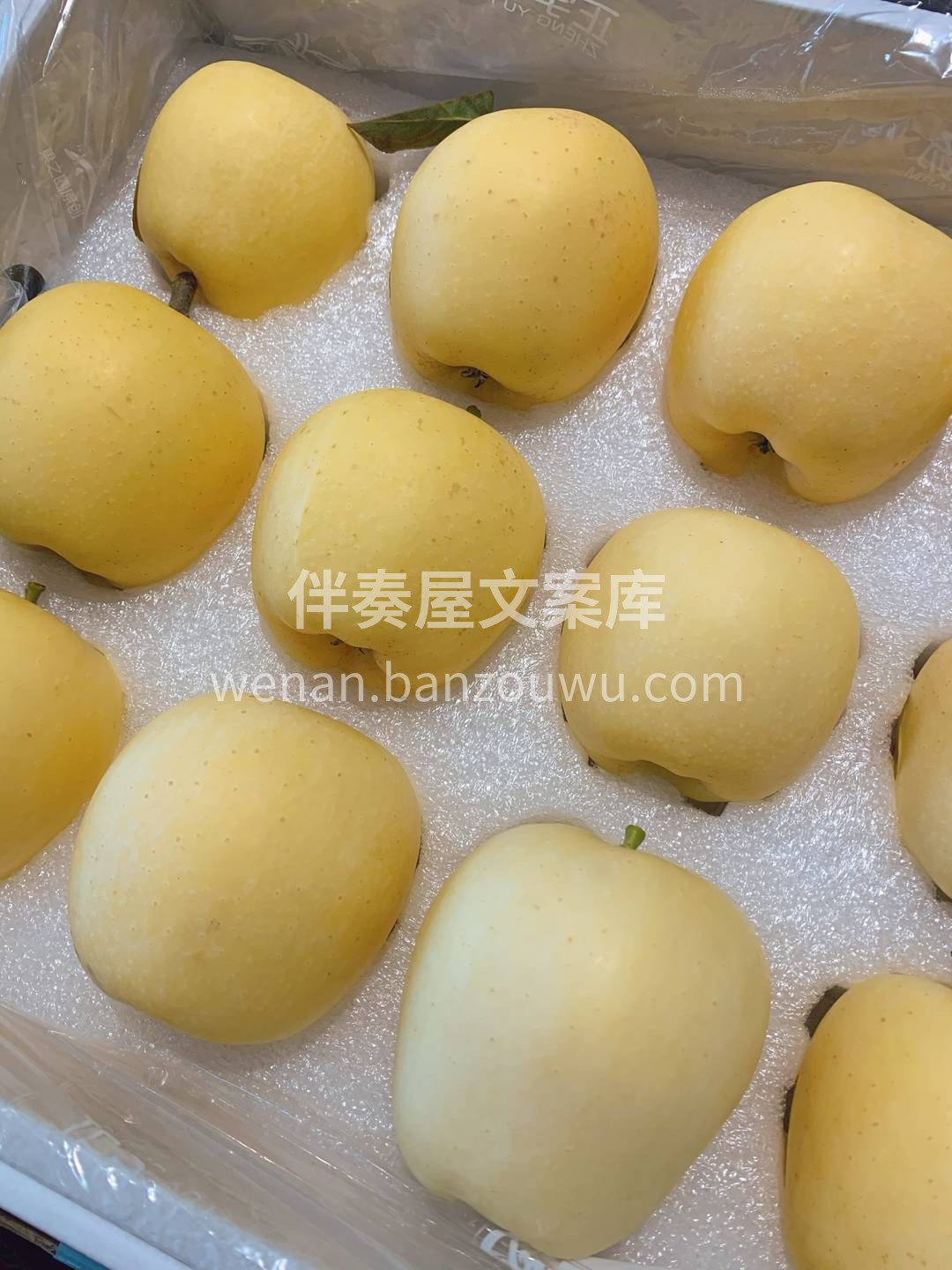 💛金黄色的独特外观、与众不同的脆甜口感😘 配图1