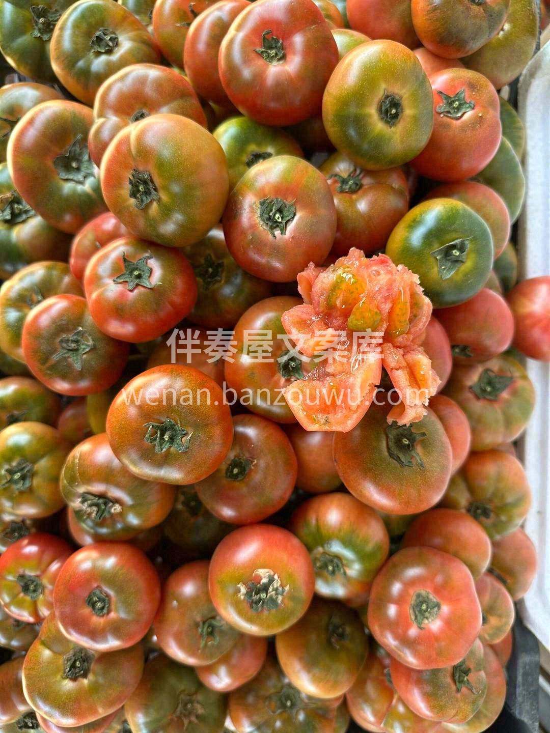 咬下去的瞬间简直惊艳🥰🍅 酸酸甜甜的味道 配图2