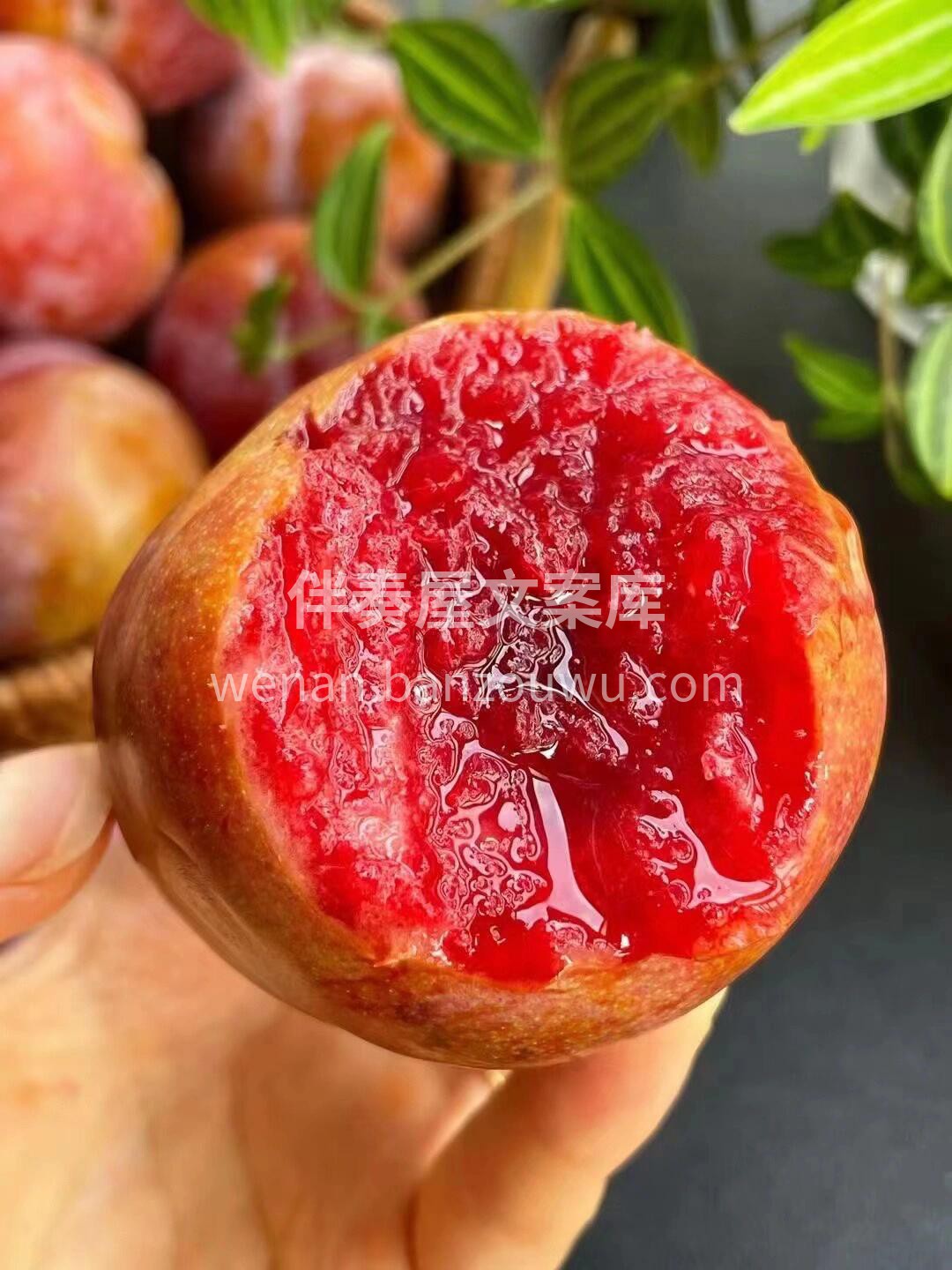 ❤️等了一年的芙蓉李来啦😍 九分甜一分酸 配图3