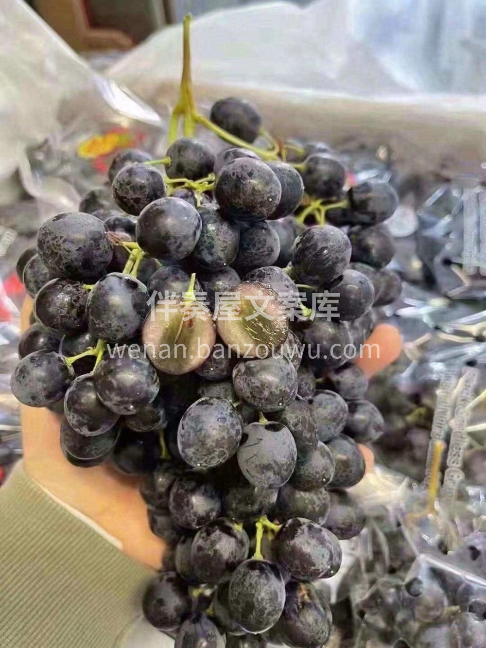 🍇小小的葡萄，大大的营养👍 好葡萄，多汁 配图1