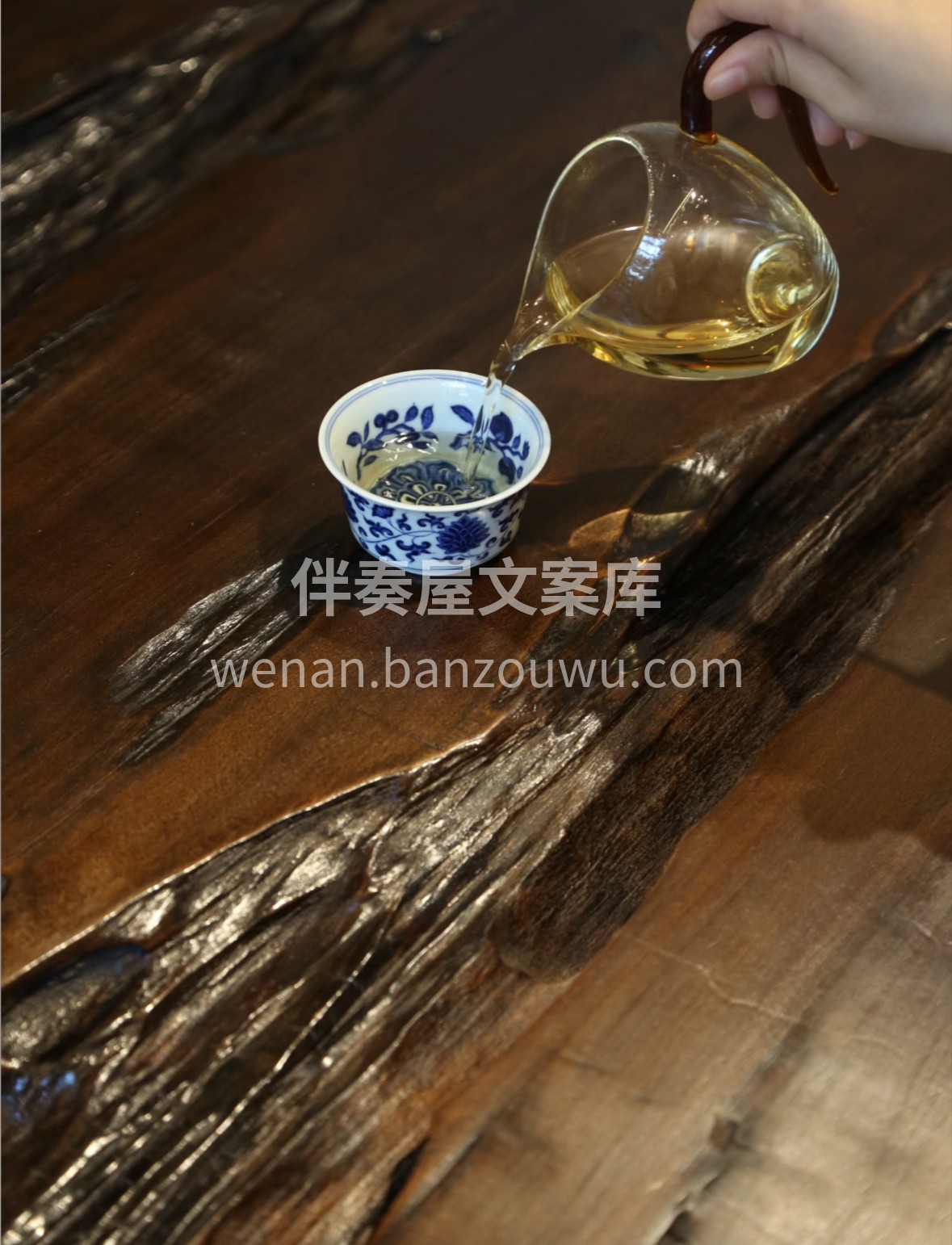 陈年老白茶｜岁月沉淀的温润 时光窖藏五载 配图2