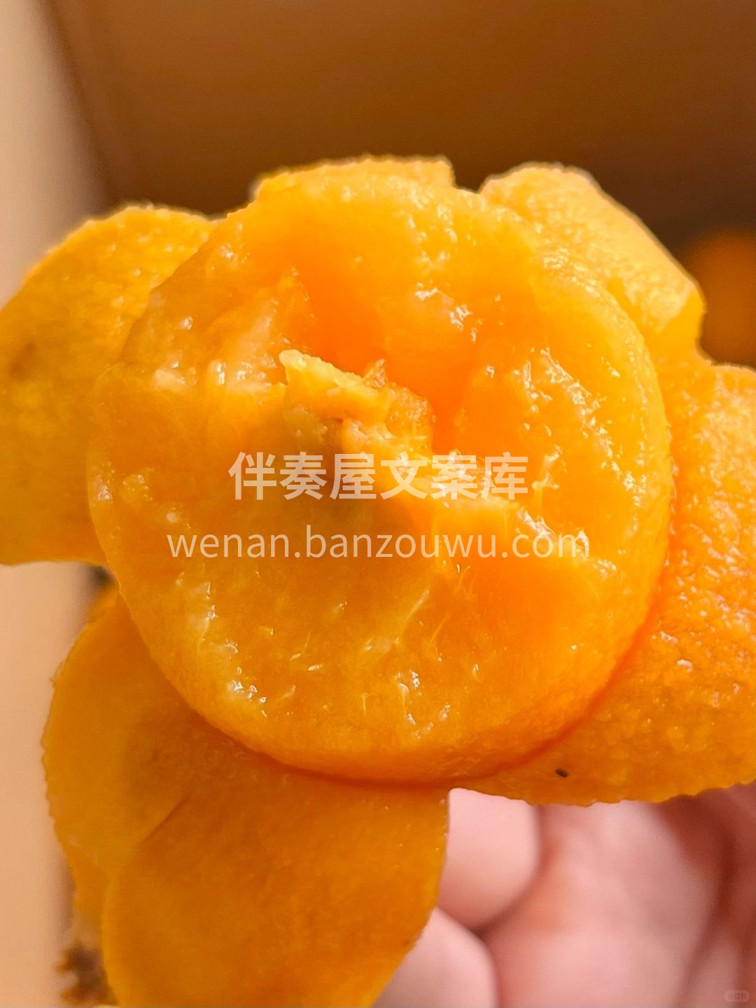 枇杷上新💛 黄似橘，亮如金，圆润清香🌿  配图1