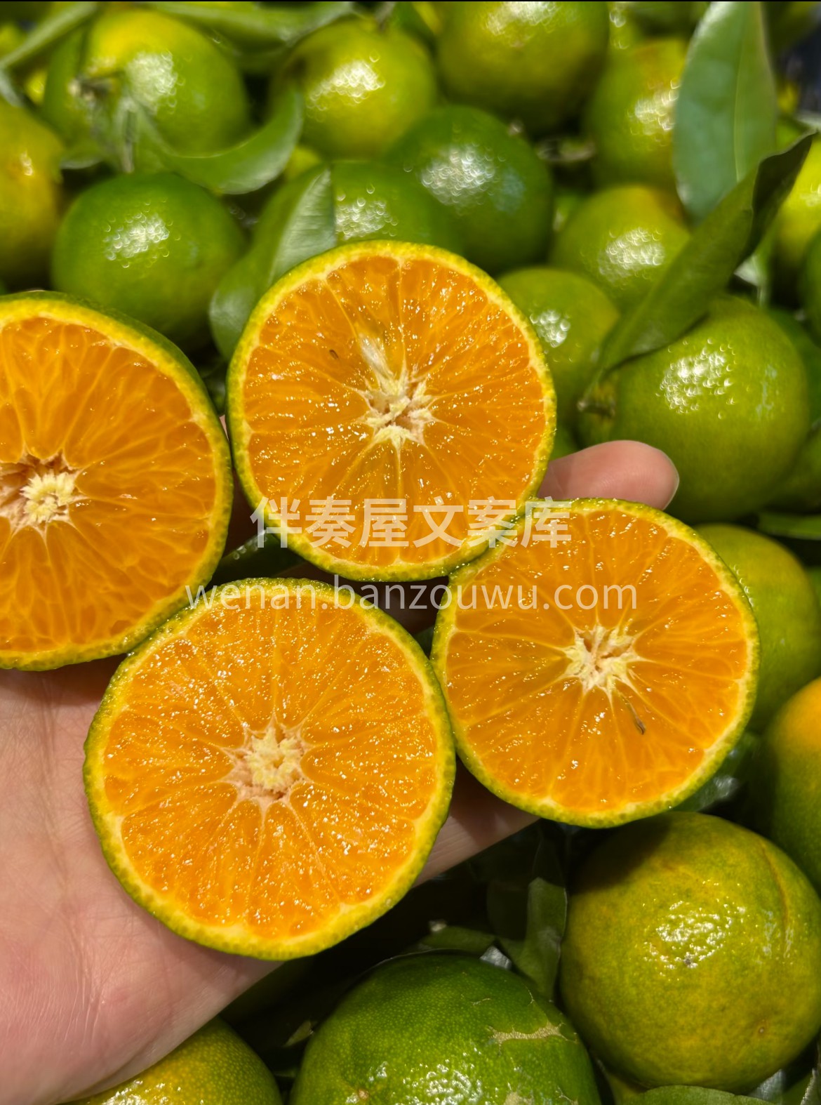 时令·清甜蜜橘🔆 爽口的代表🍭～核小肉嫩 配图2
