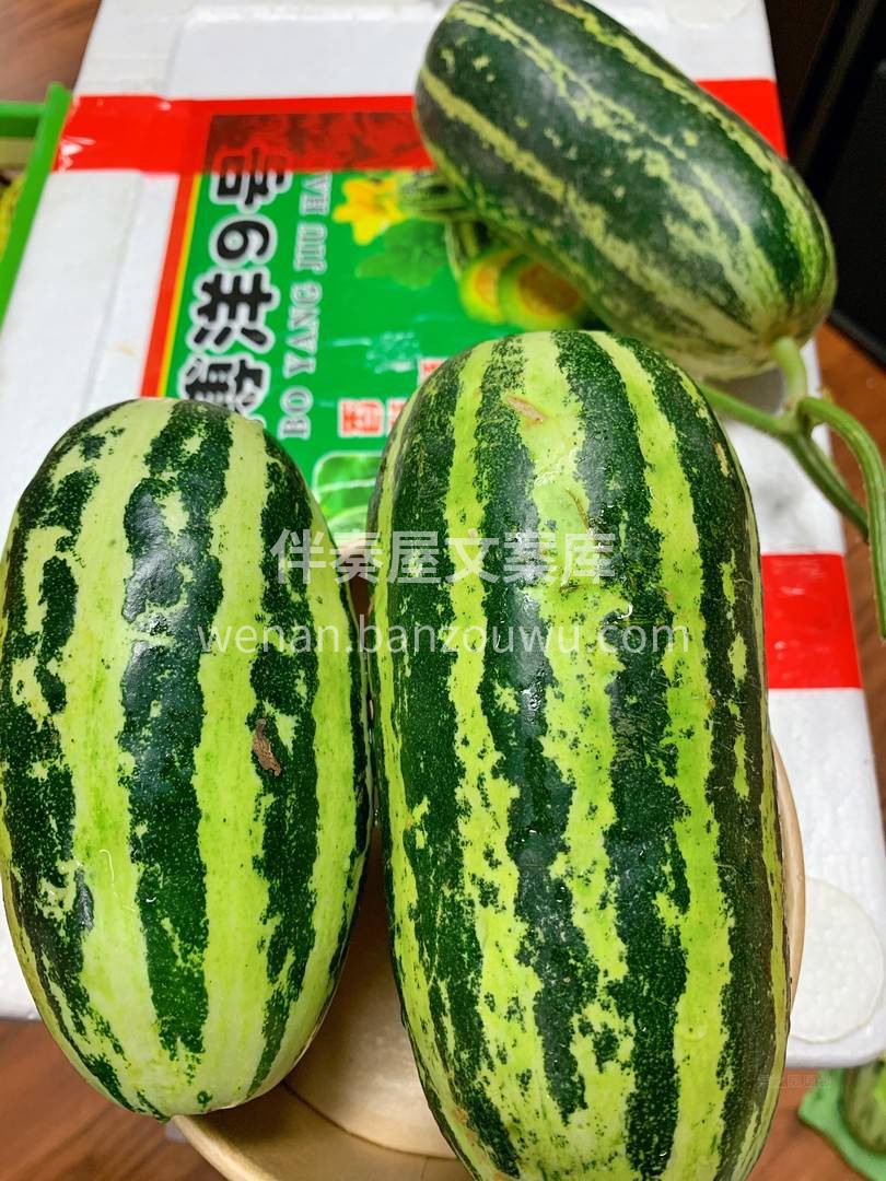 幸福💖其实很简单 抱一颗💦冰凉的甜瓜，追 配图1