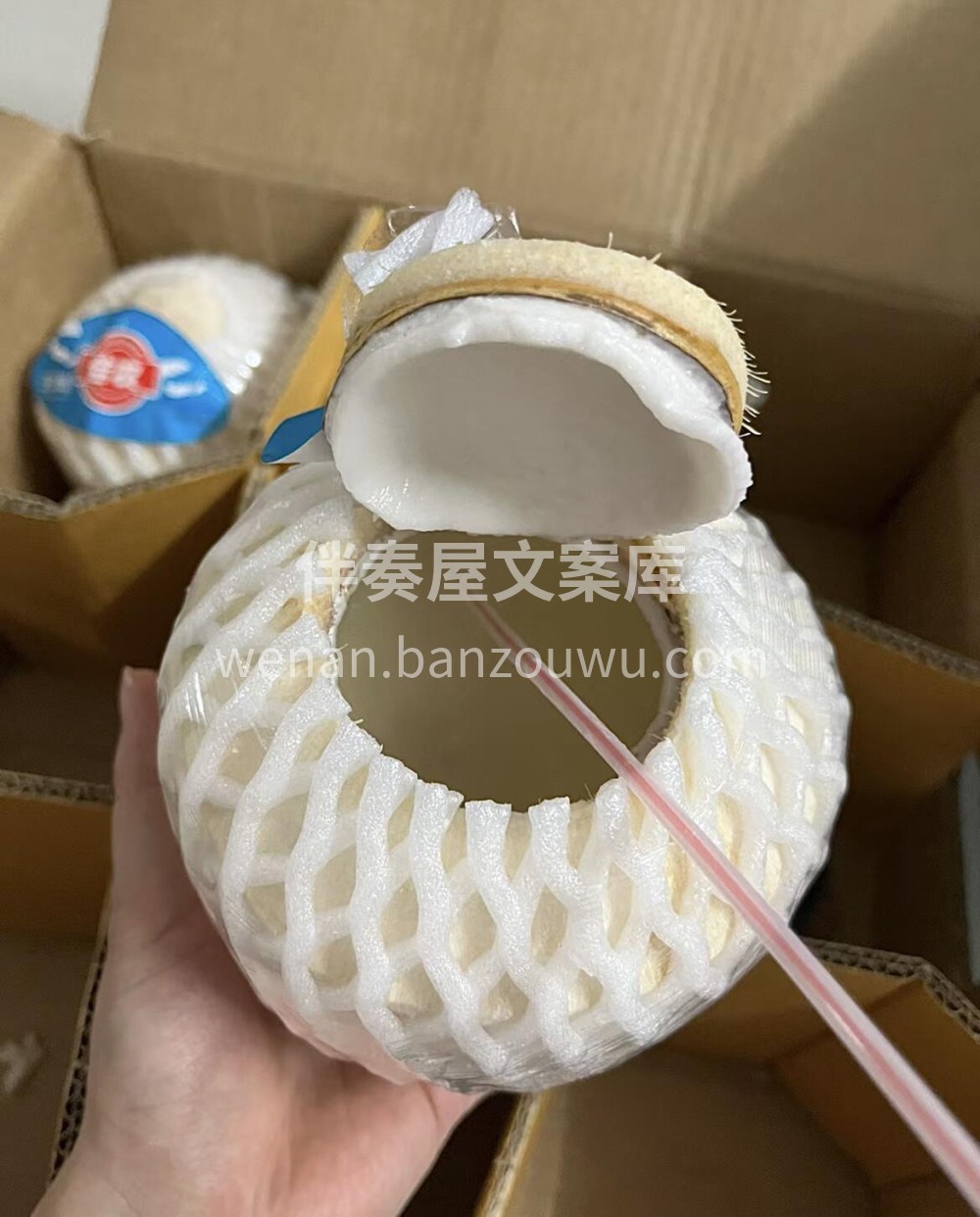 泰国🇹🇭佳农进口香水椰青🥥 天气闷热需要 配图2
