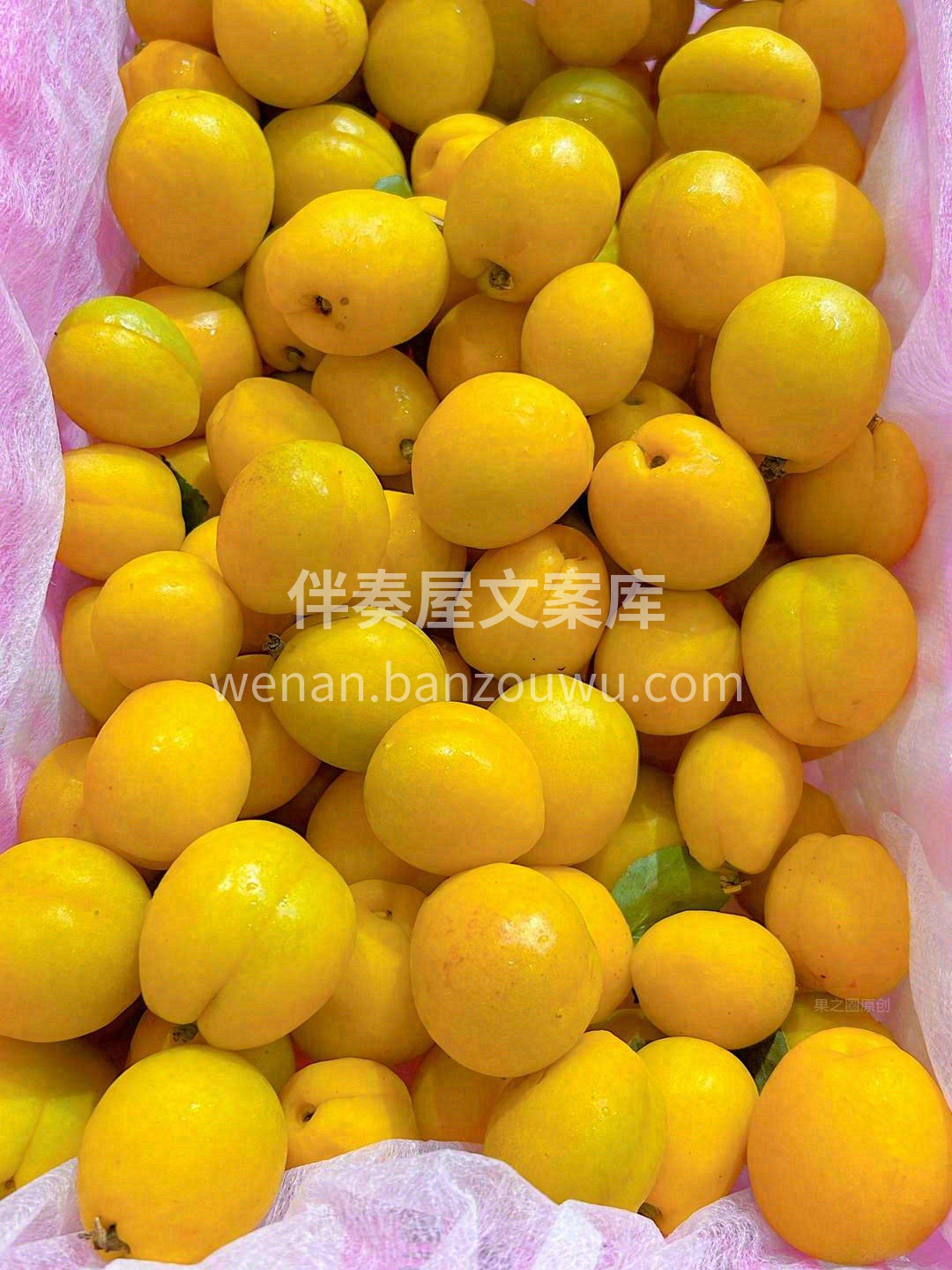 新疆虽远，“酒香不怕巷子深 ”👉 女神💃 配图2