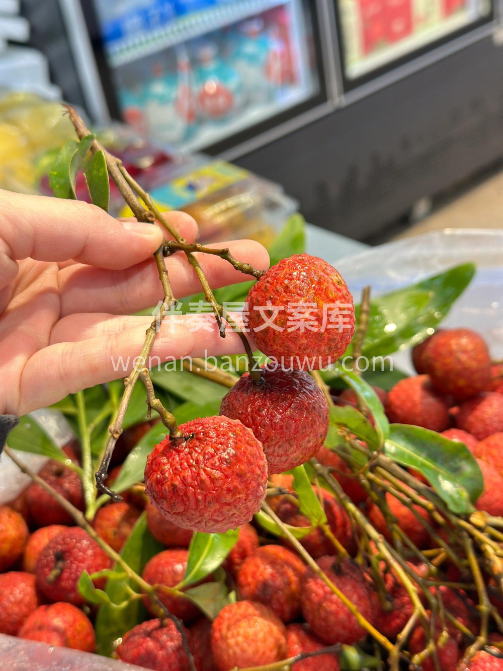 💚红花荔枝～ 这个名字是因为它壳很红嘛😍 配图1