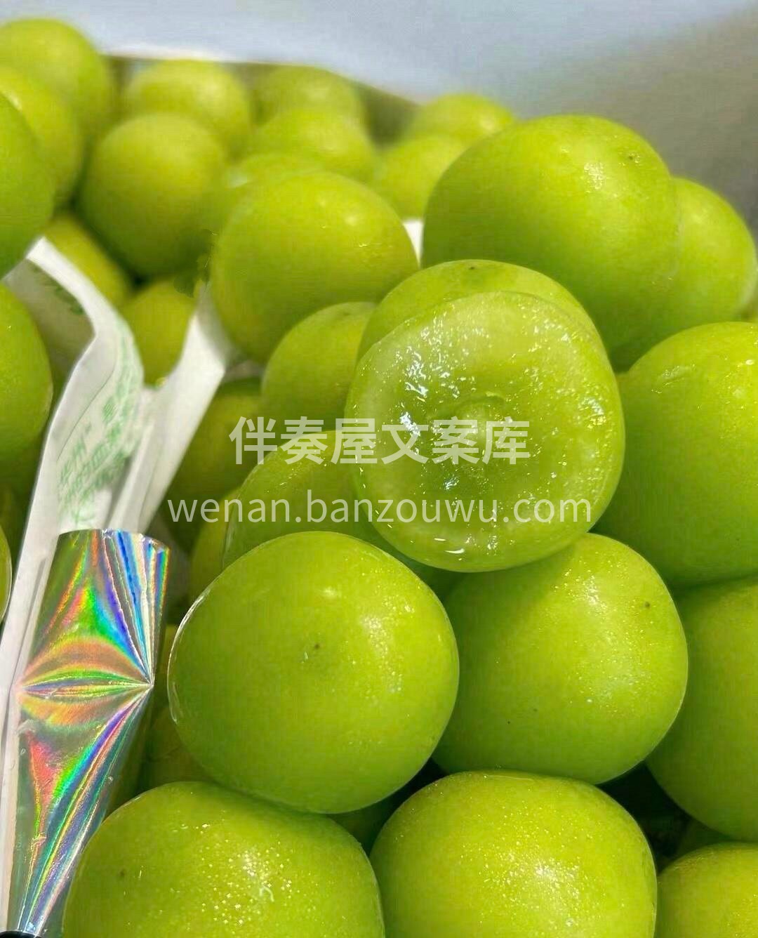 【阳光玫瑰】🍇 💚味道香甜，无籽，吃起来 配图1