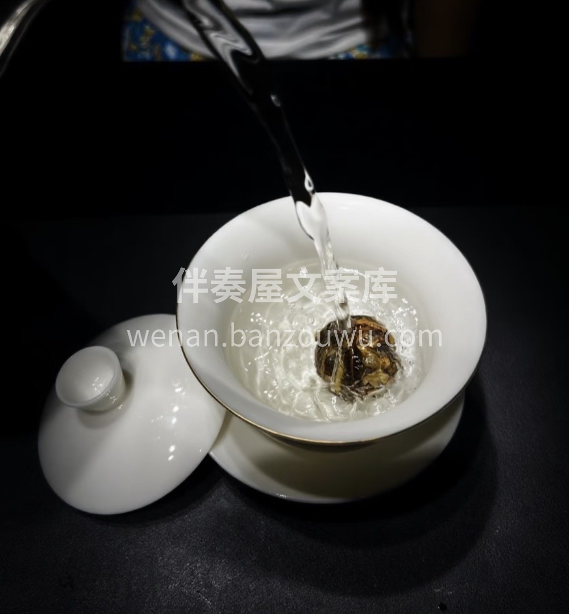 新年备年货，好茶选古树白茶龙珠✨ 一颗一 配图1