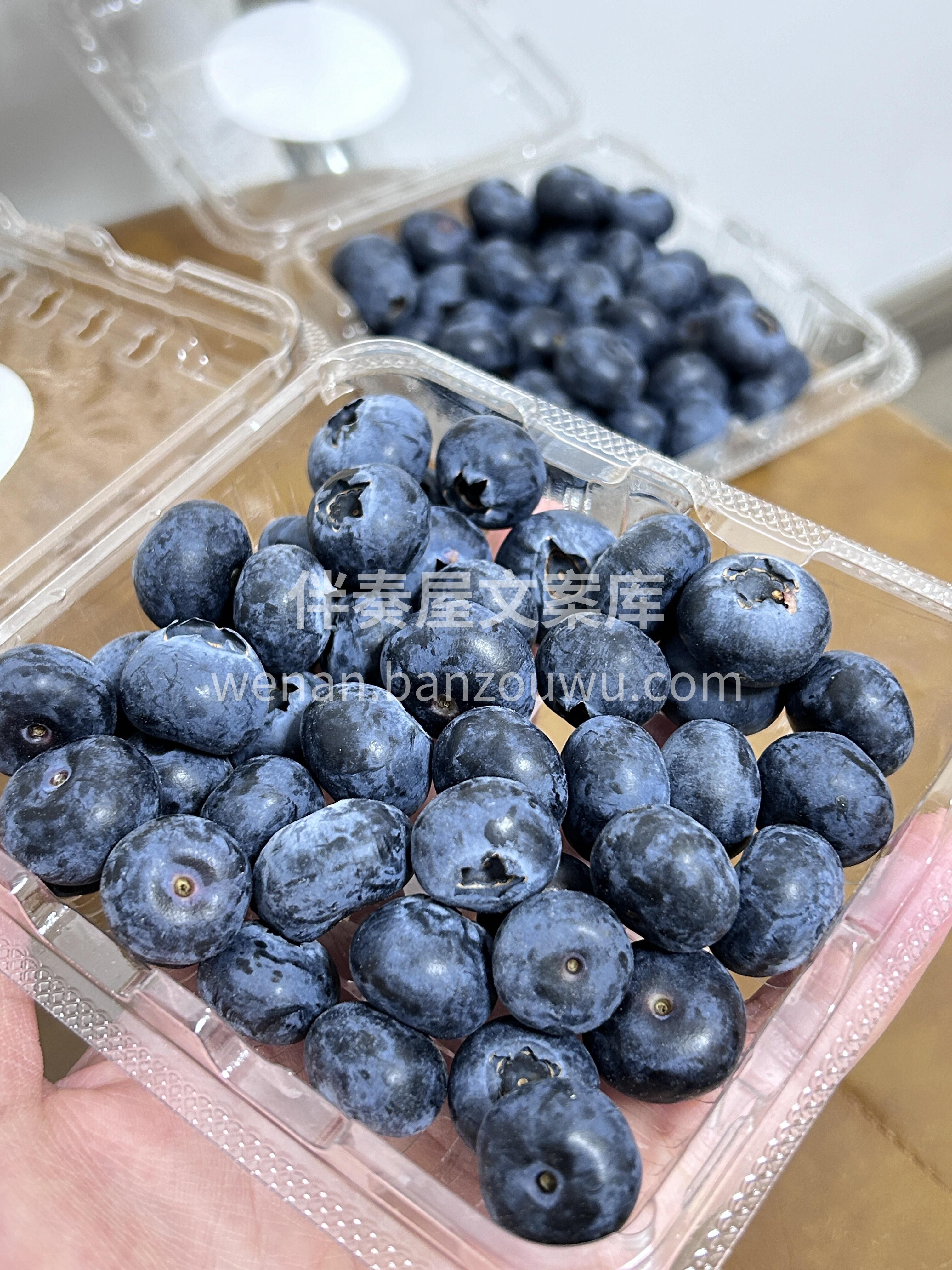 🫐 蓝莓！ 💙 云南露天，果粉满满 ✨  配图2