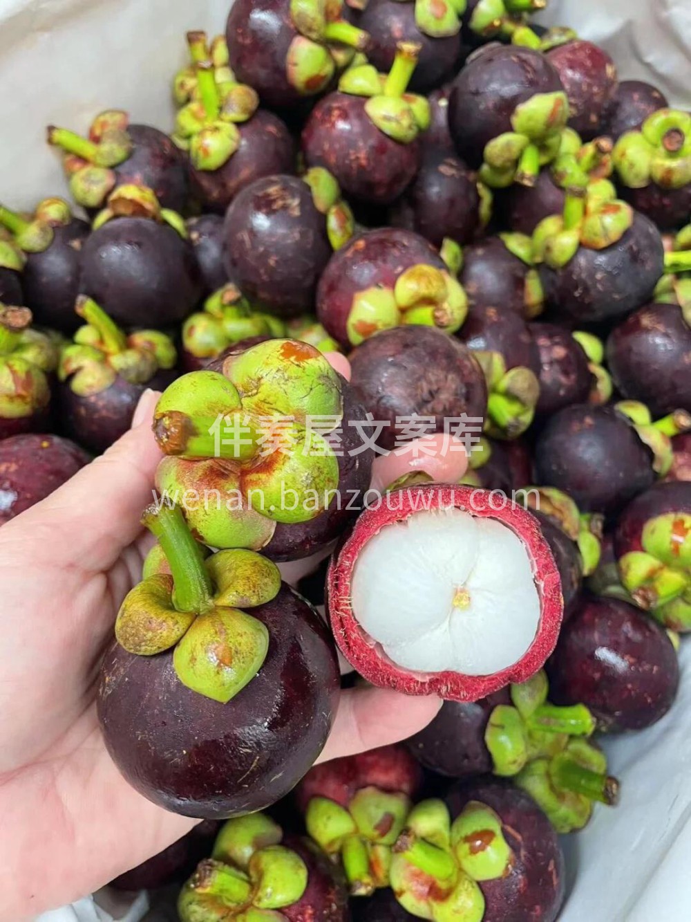山竹☘️个个白胖子，颗颗棉花瓣✨白嫩柔滑 配图1