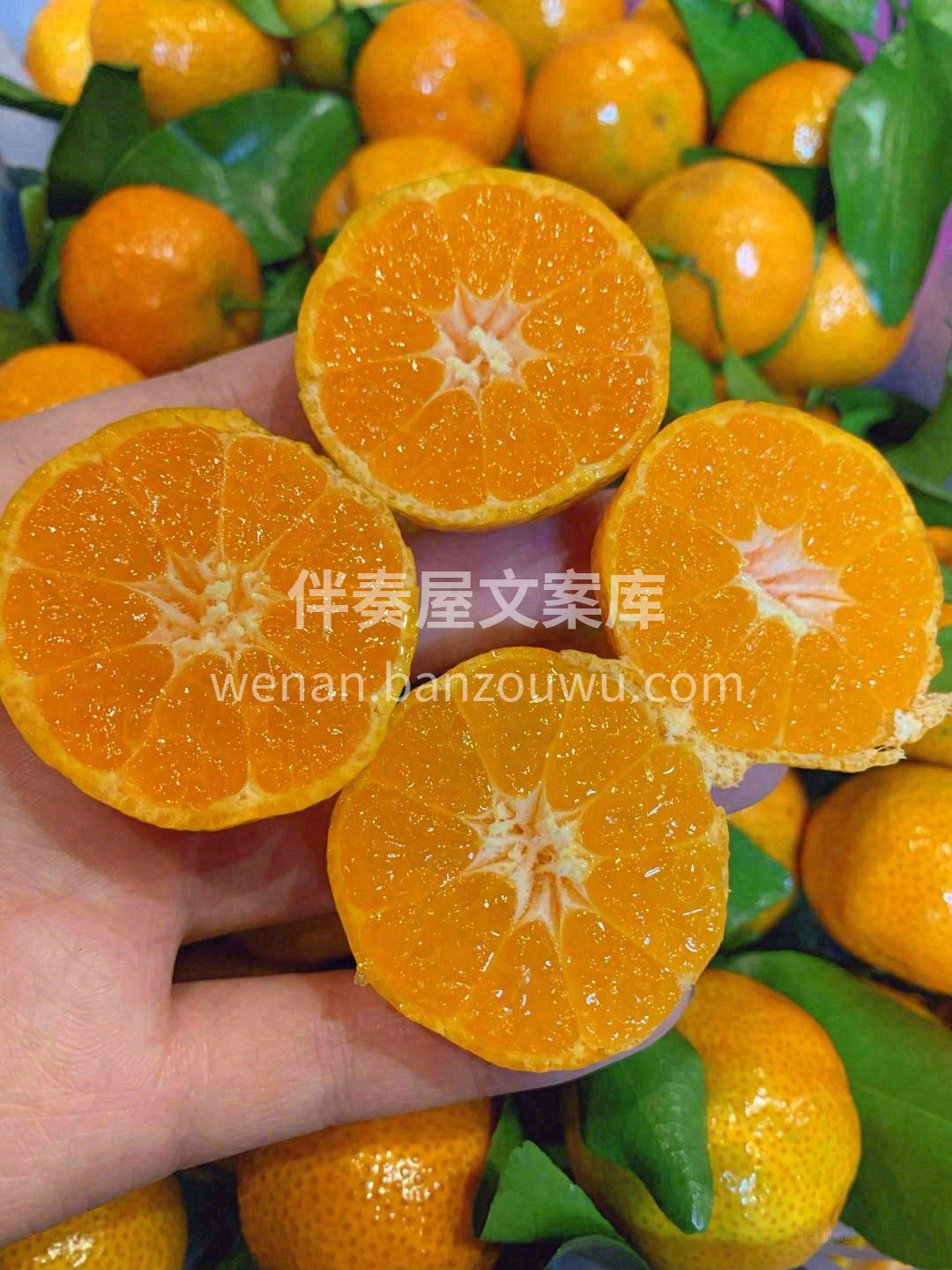 生活的惊喜🧐，无论大小，皆来源于你❤️  配图1