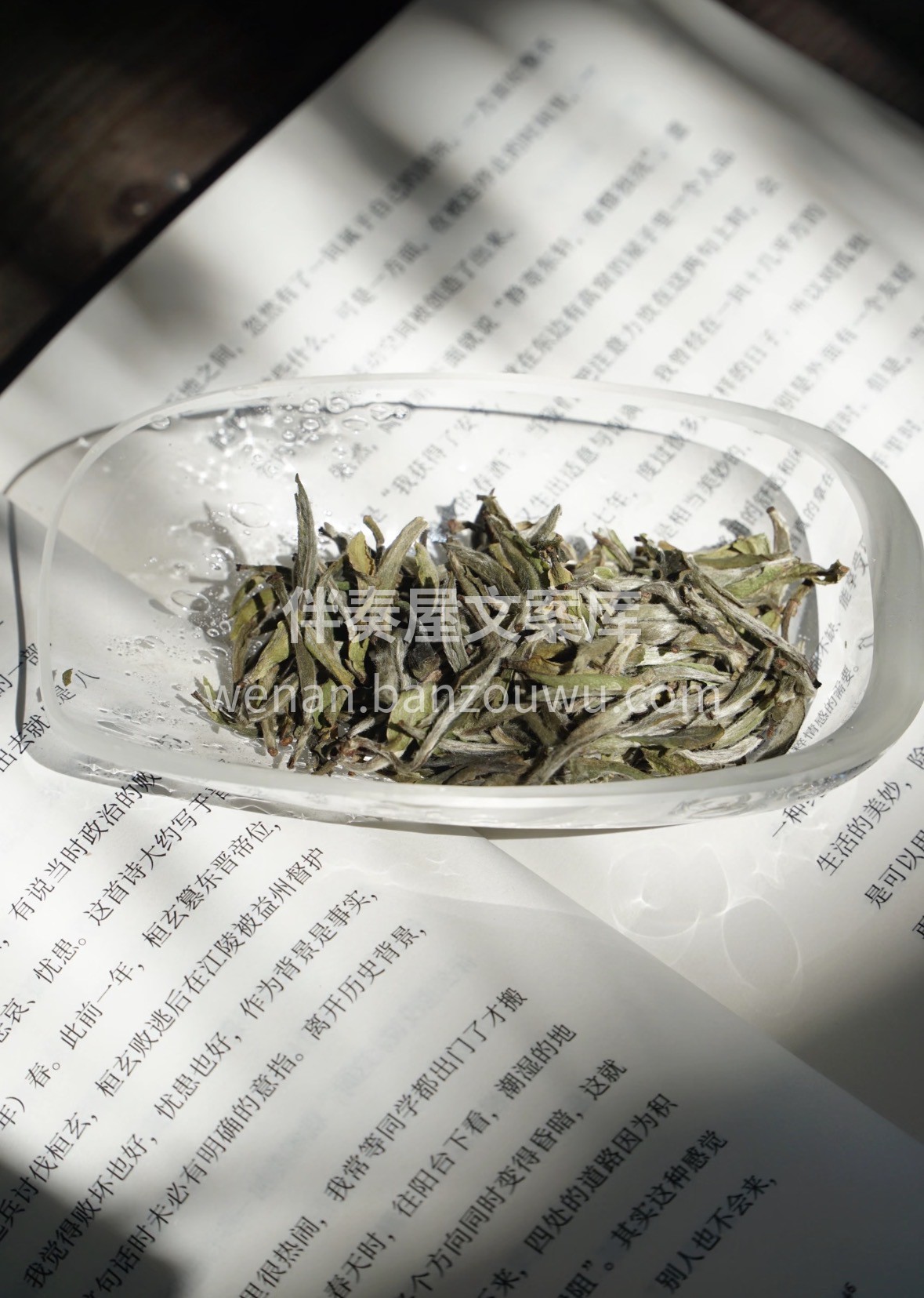 🎁年货好礼选银针，毫香蜜韵醉人心。🍵雪芽 配图1