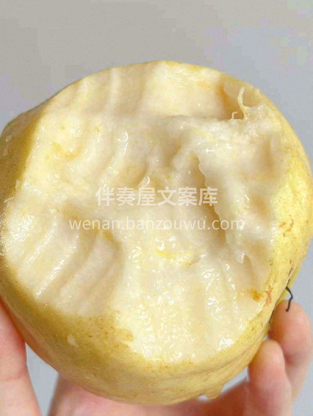 轻食界的新宠💕，高颜值小清新芭乐来啦🎉🎉 配图2