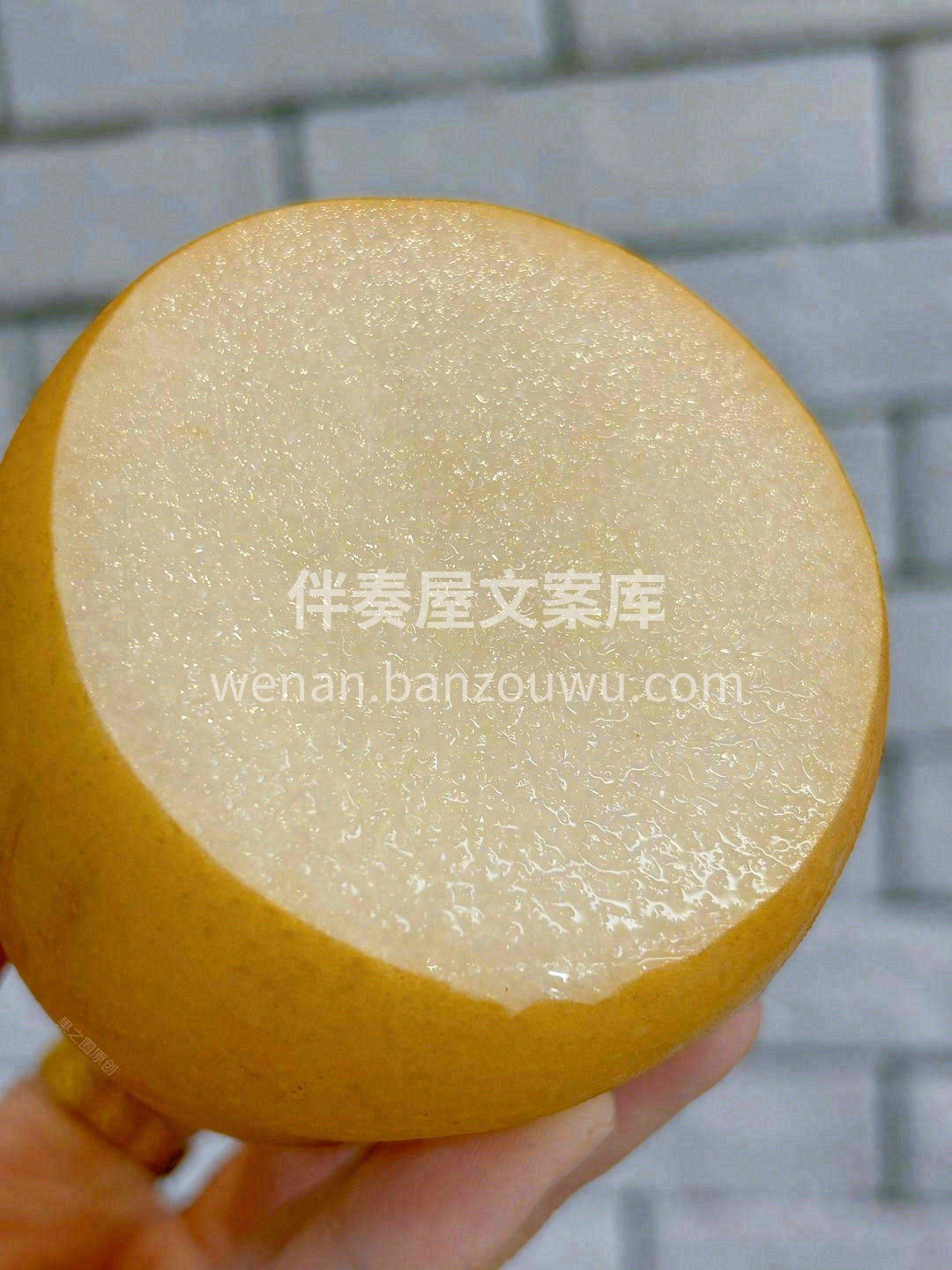 秋月梨一出，天下无梨🌼🌼~~~ 最合适的 配图2
