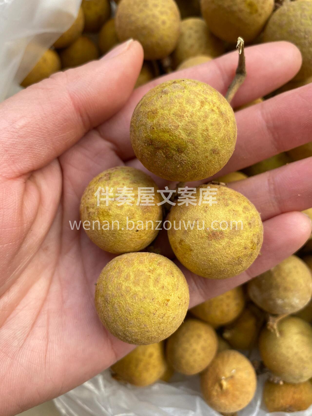 🔅今日份泰国金标龙眼上新🎉🎉 晶莹剔透水 配图2