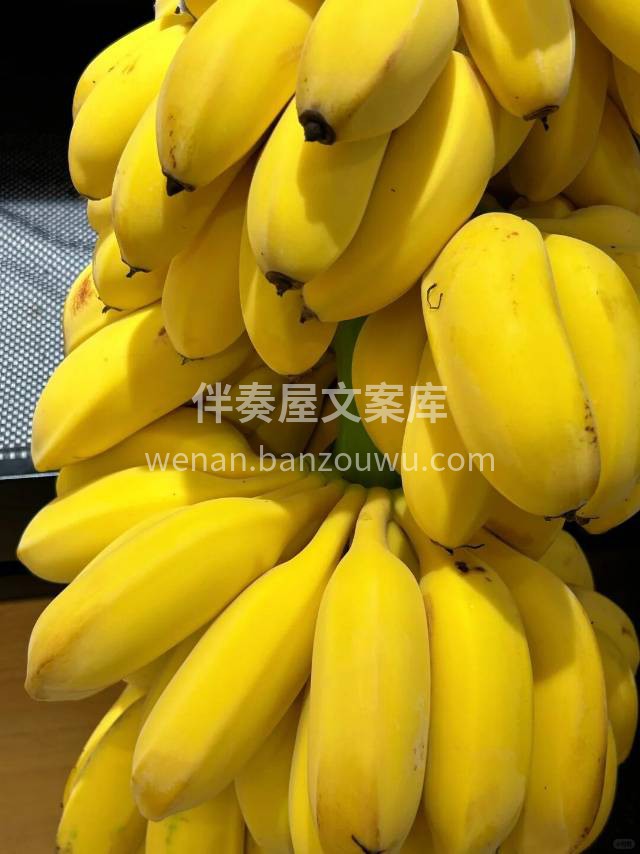 吃腻了普通香蕉，不妨试试这款苹果蕉🍌独特 配图3