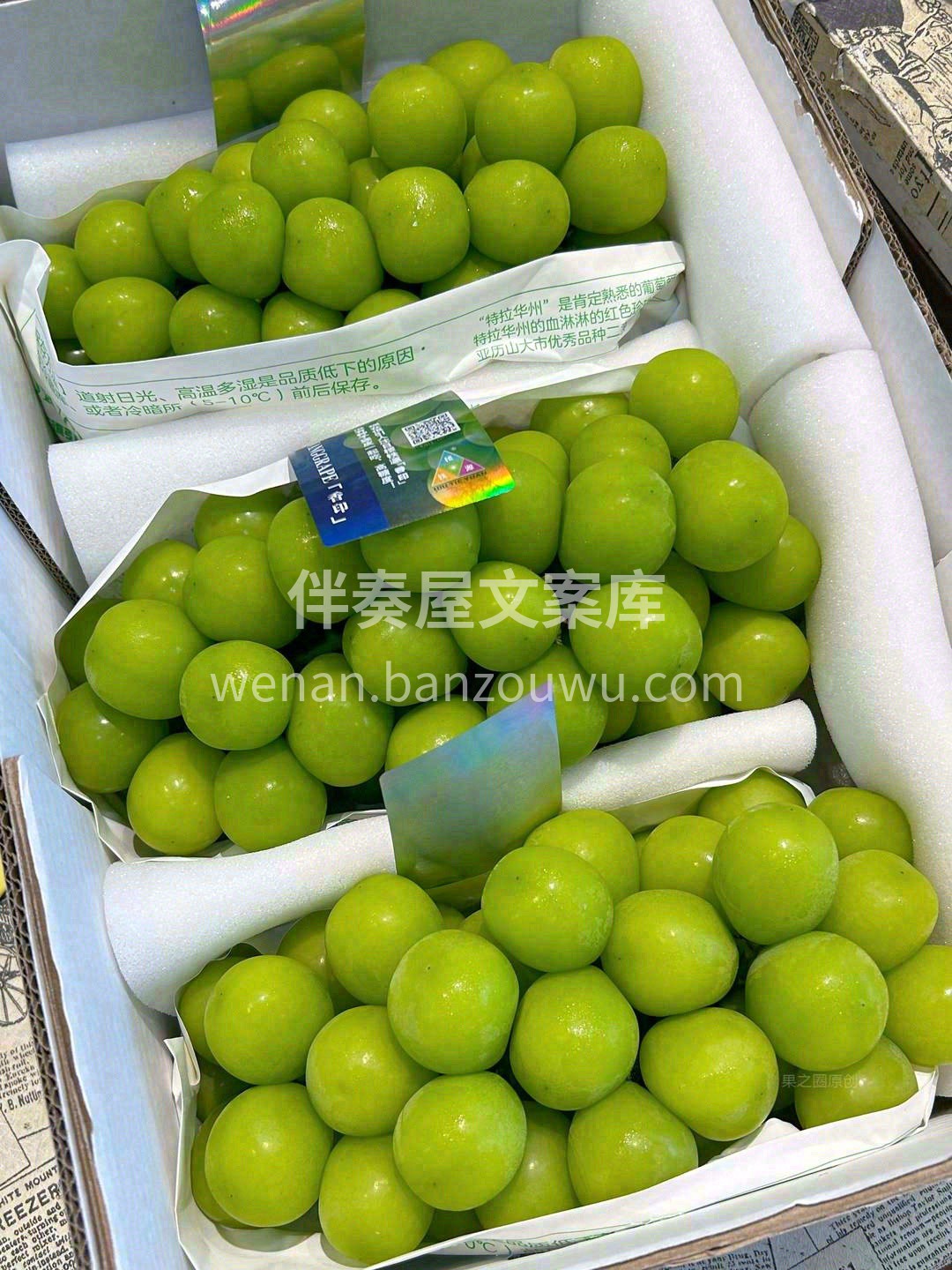 一口就biu汁，令人迷醉😍 甜度PLUS 配图1