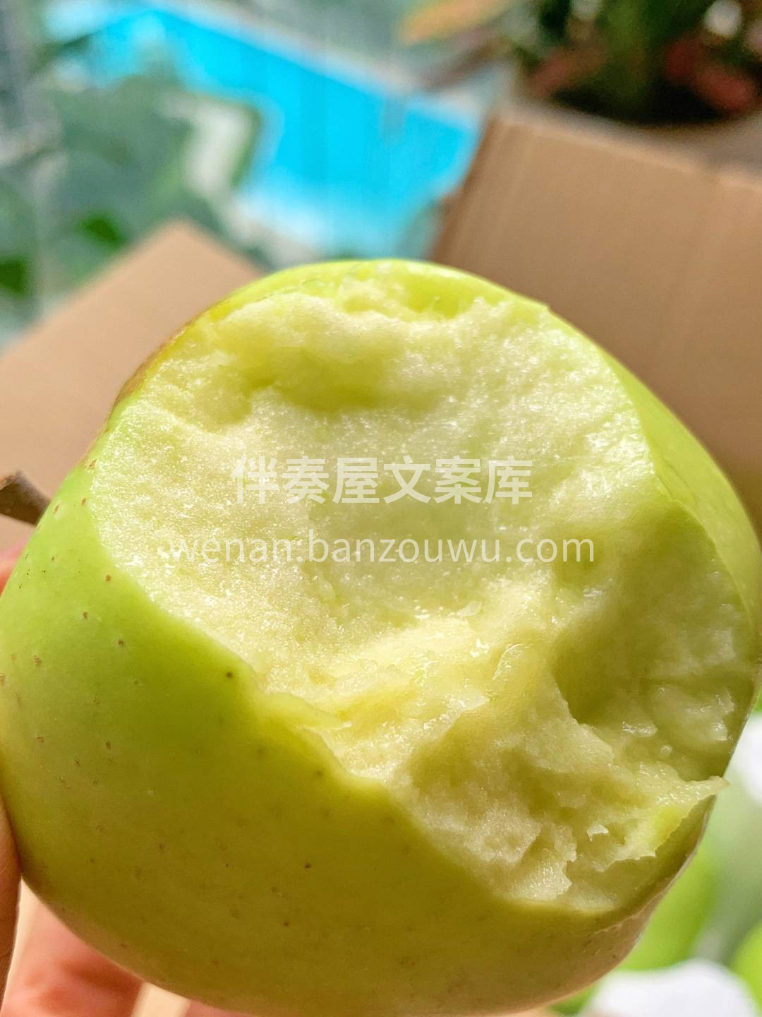 🍏【澳洲青苹爽脆来袭啦‼️】 果肉紧实多 配图1