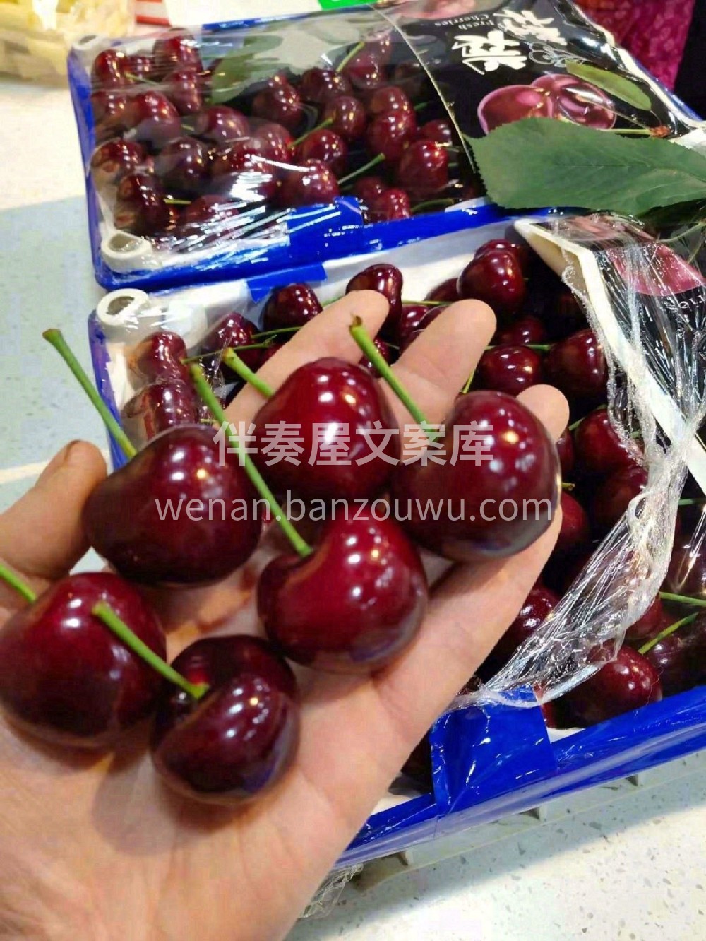 大连樱桃，真正实现自由的时候到了🥰如果是 配图1