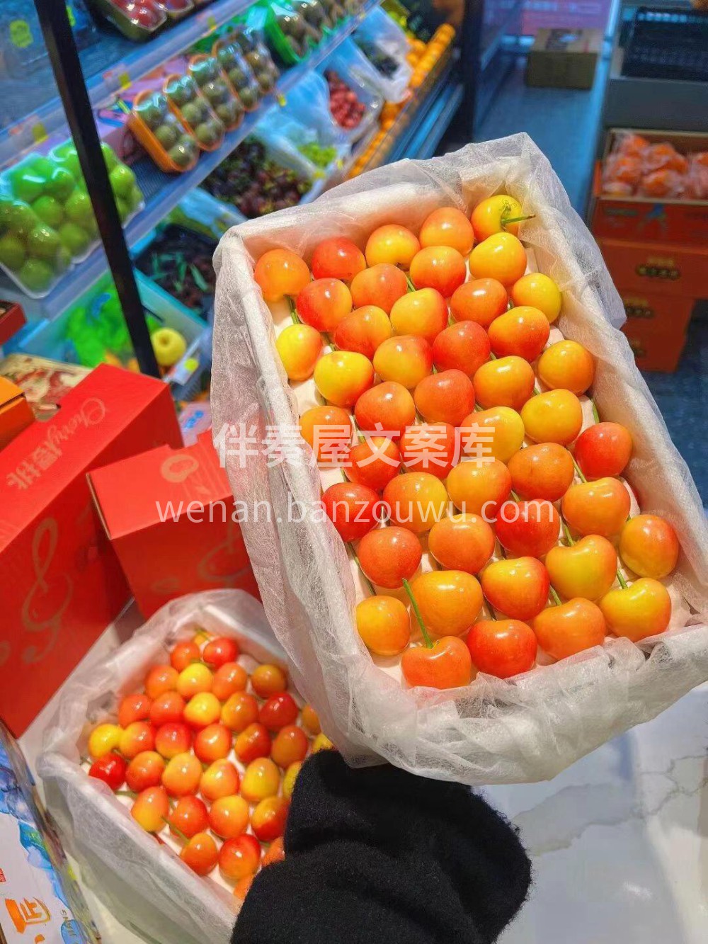 🌸春天的第一颗.顶尖货 -美国红黄樱桃🍒 配图1