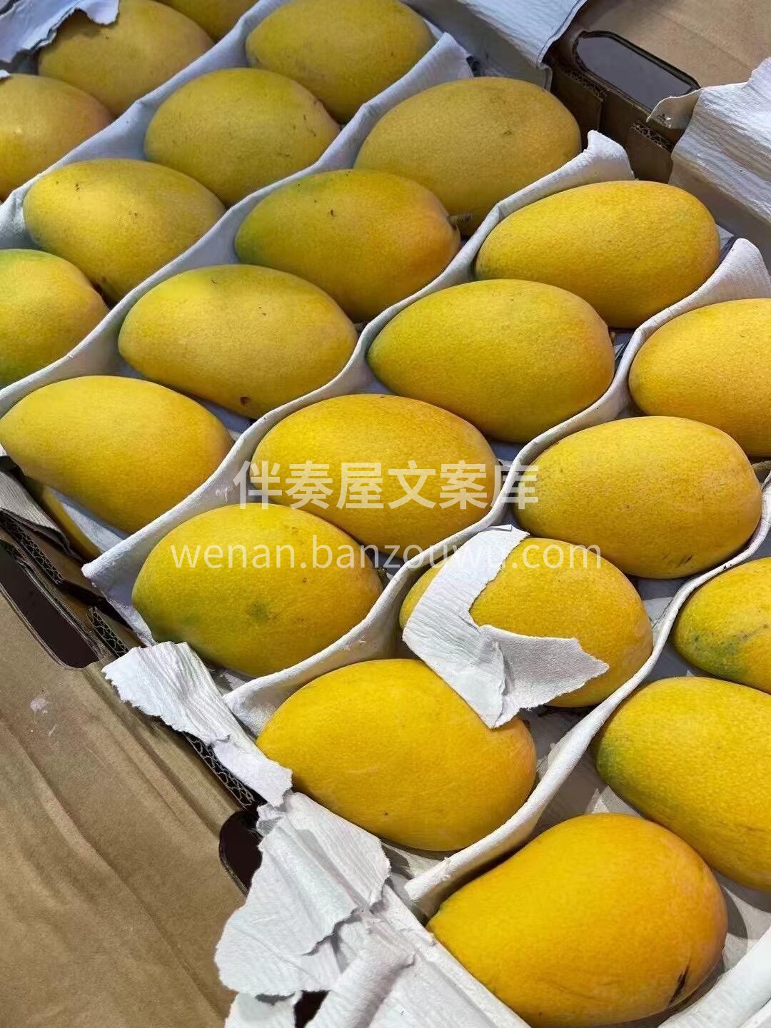 这个季节的芒果🥭 好吃的真就是小台芒嘎嘎 配图2