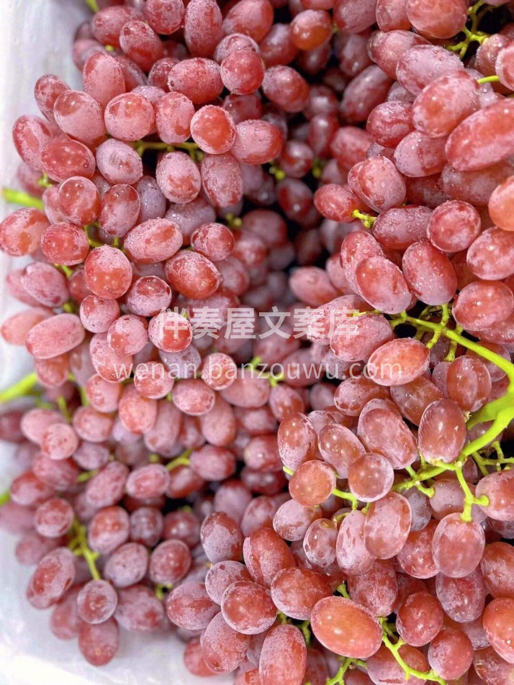 🌿最好的新鲜，都在眼前😘 ❤️无籽红提🍇 配图3
