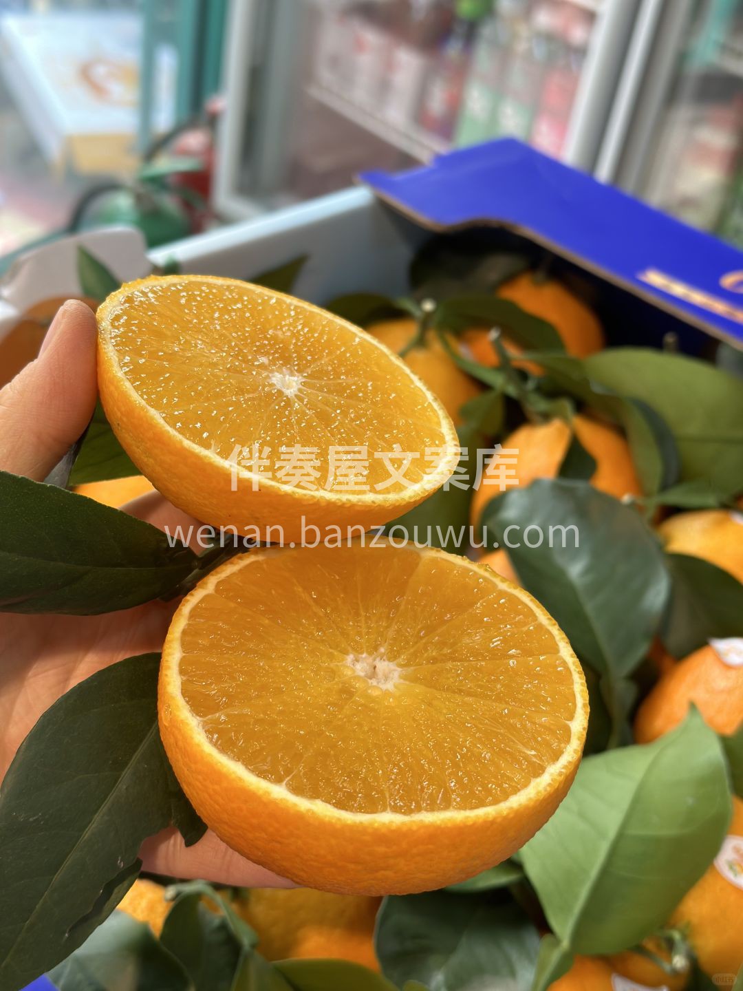 🍊红美人❤️ 柑橘中的爱马仕​ 真的是圈 配图3