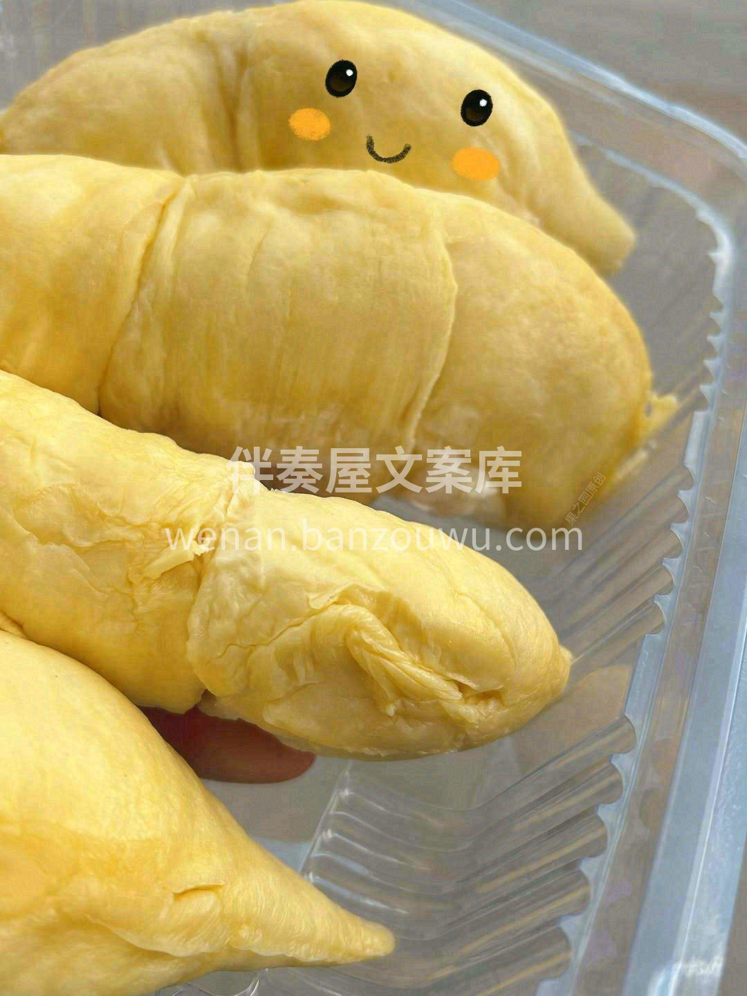 始于榴莲忠于品质💎 愿我们的日子像榴莲一 配图3