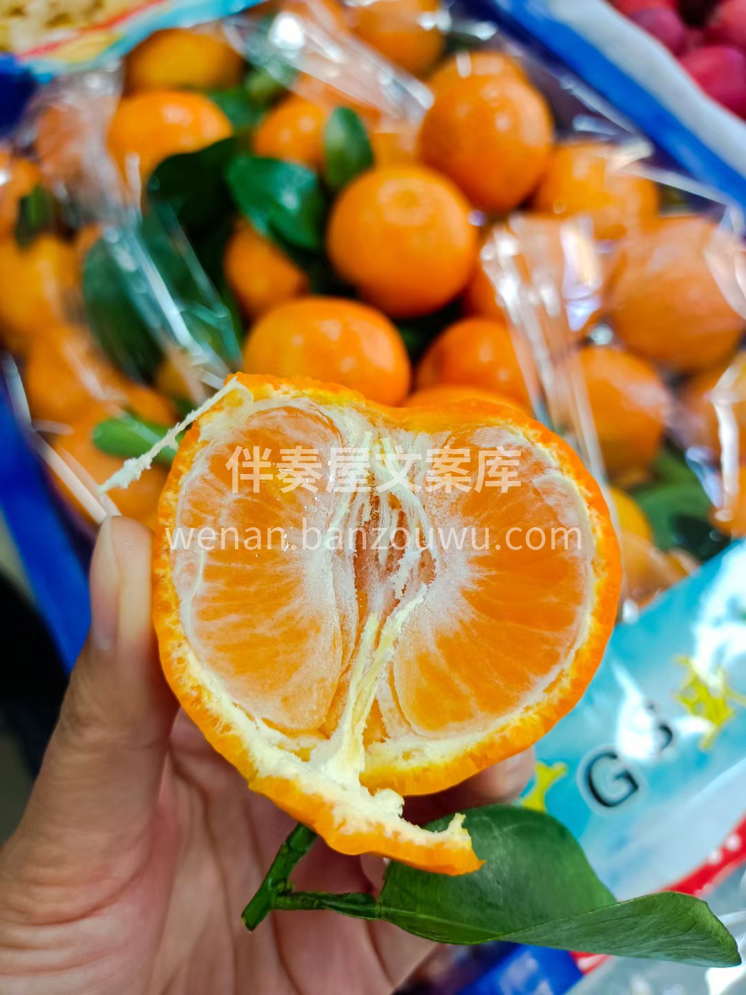 🍊金秋砂糖橘 吃沙糖桔‎的‎季节来啦，‎ 配图1