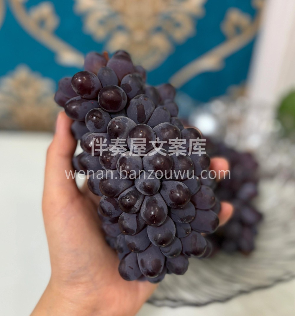 💥茉莉香葡萄🍇zui有格调的葡萄🍇——云 配图2