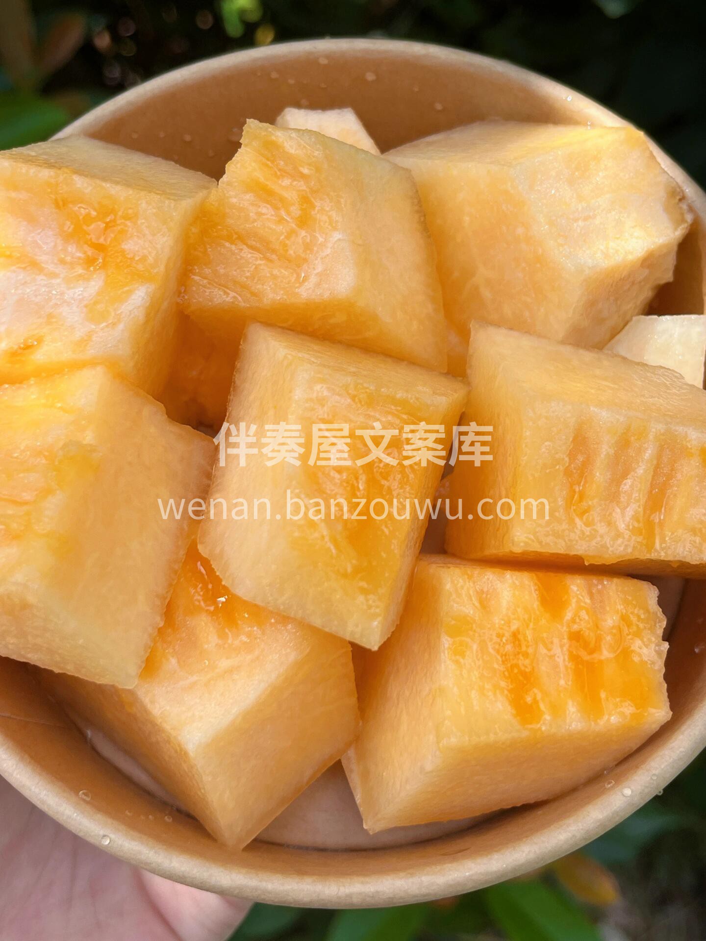 不负期待的哈密瓜🍈🍈 我说它千般好👍，万 配图2