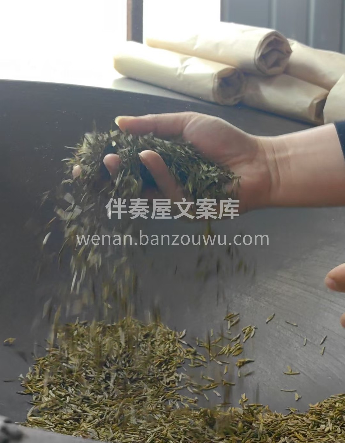 古法炮制的蒙山黄芽，外形秀丽色泽润黄。汤 配图1