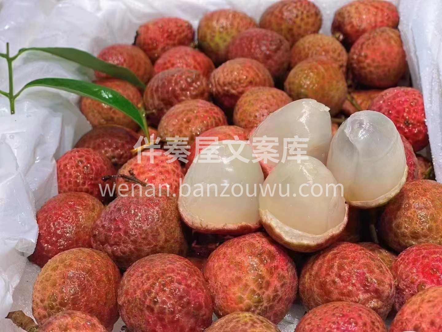 春天?第一颗荔枝? 桂花香荔枝✈️空运抵 配图2